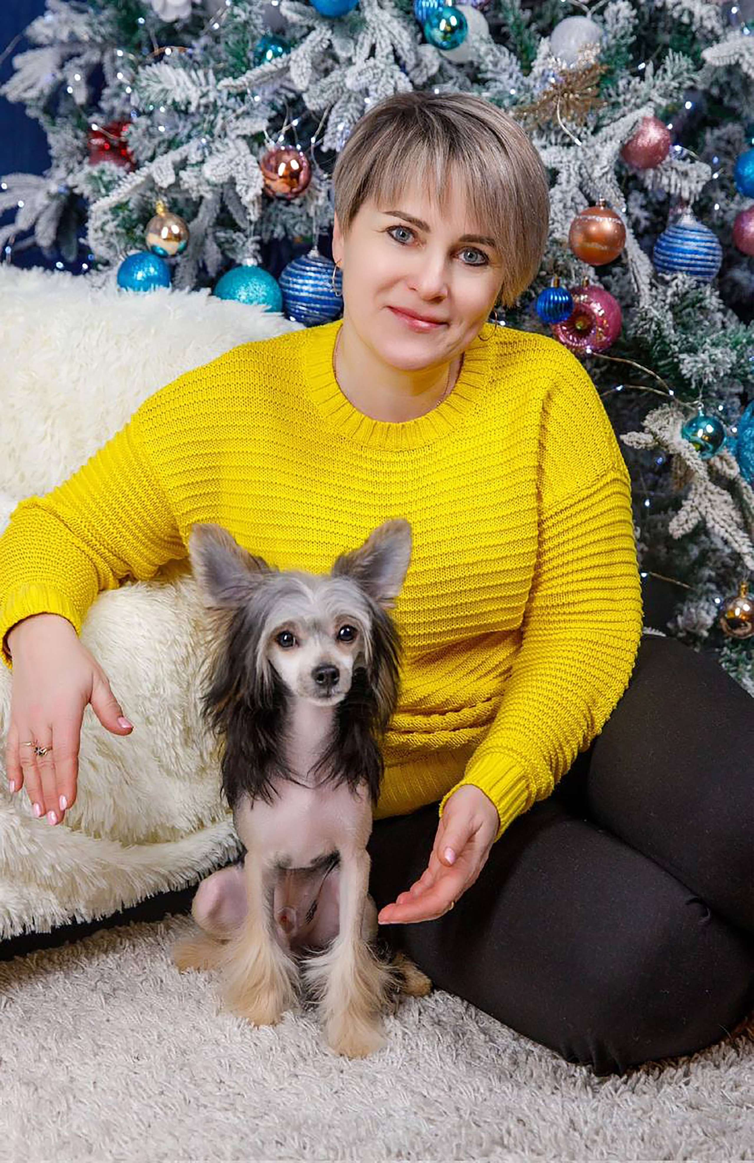 Laisan Island Franklin (Franklin). 6 months. Chinese Crested Dog Kennel Poale Ell