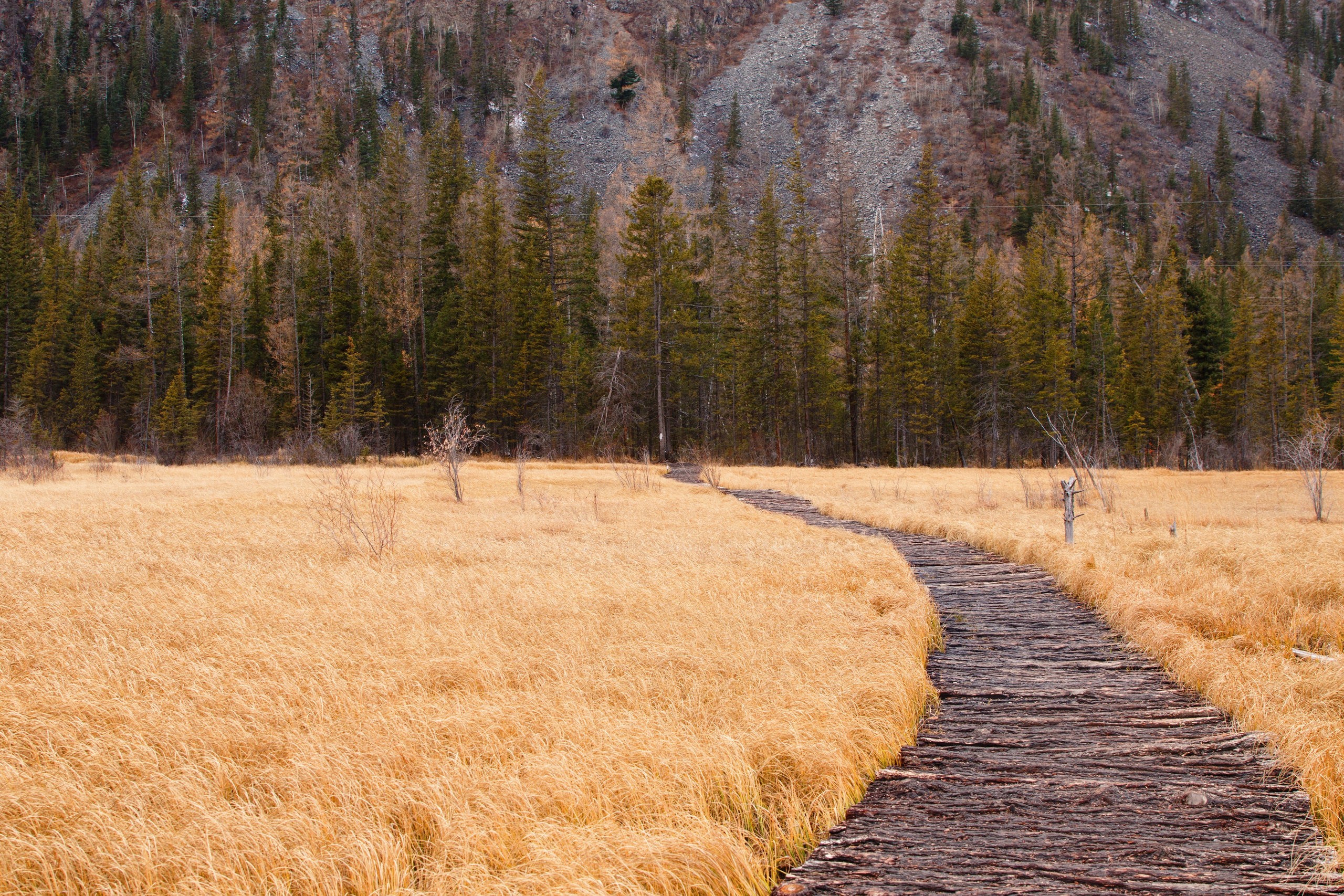 Подберу кадр под ваш интерьер и настроение. Фотограф Кирилл Мешков Кемерово