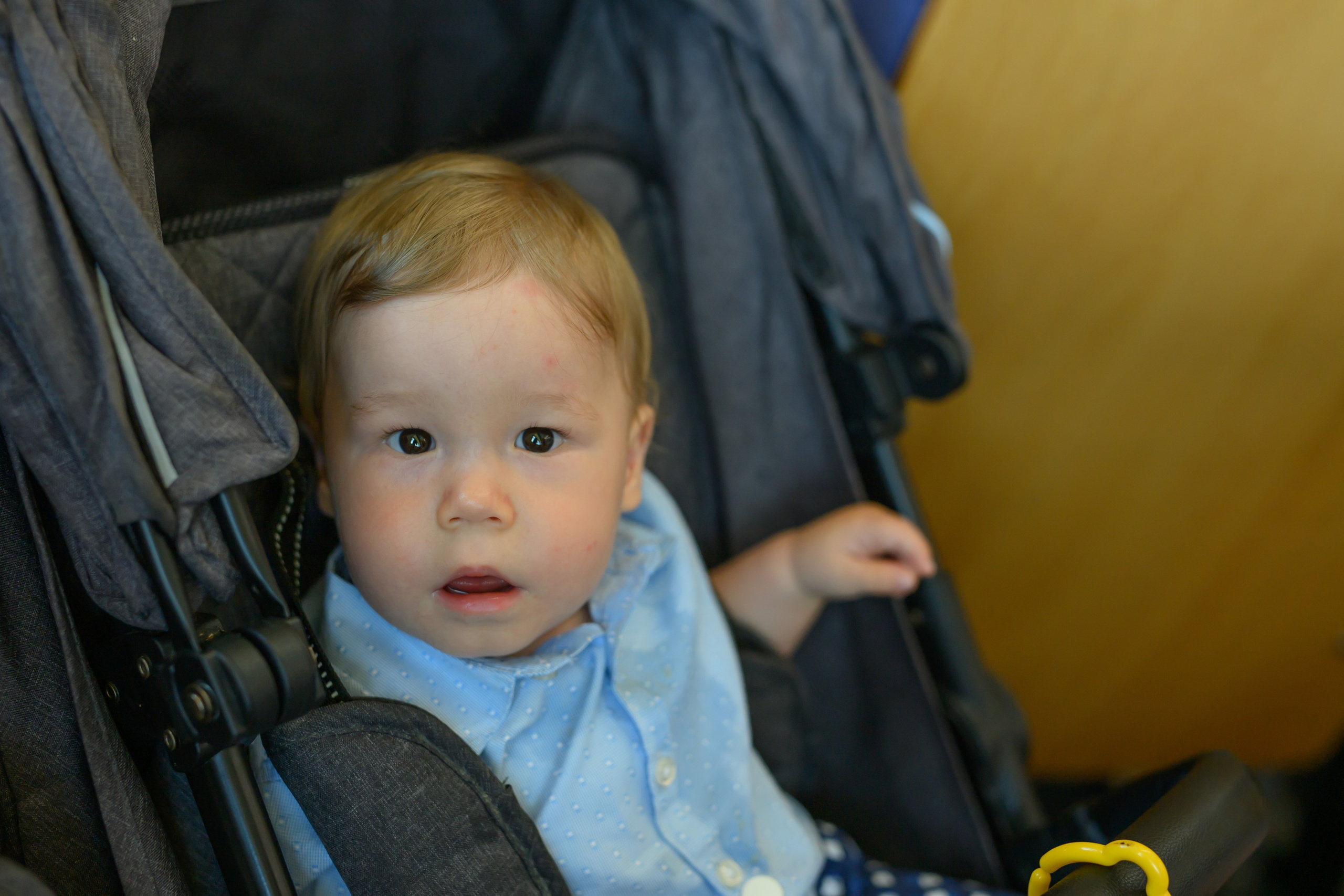 Праздник материнства. Профессиональный фотограф Елена Красилина г.Ярославль, г. Рыбинск