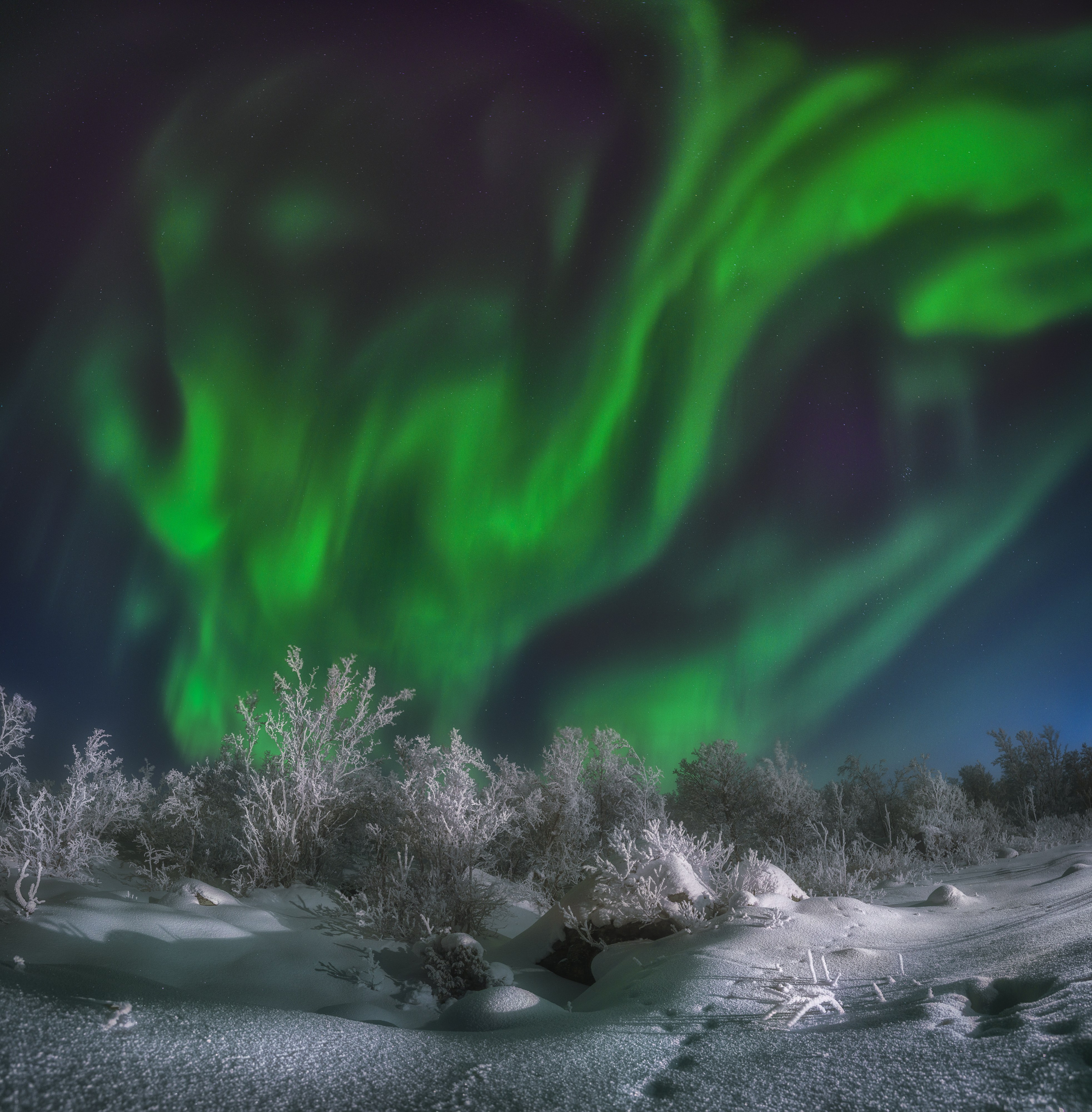 Предзимье на Кольском