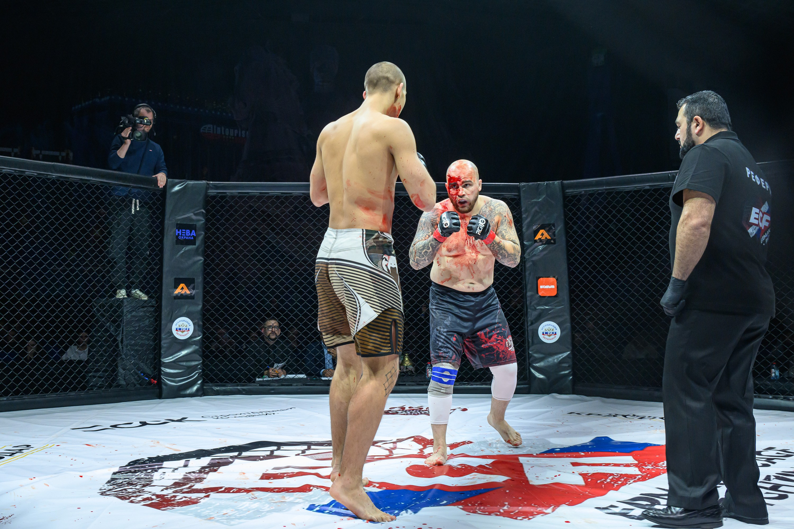 Фотосъемка профессионального турнира по смешанным единоборствам. Профессиональная фотосъемка. Ростов-на-Дону