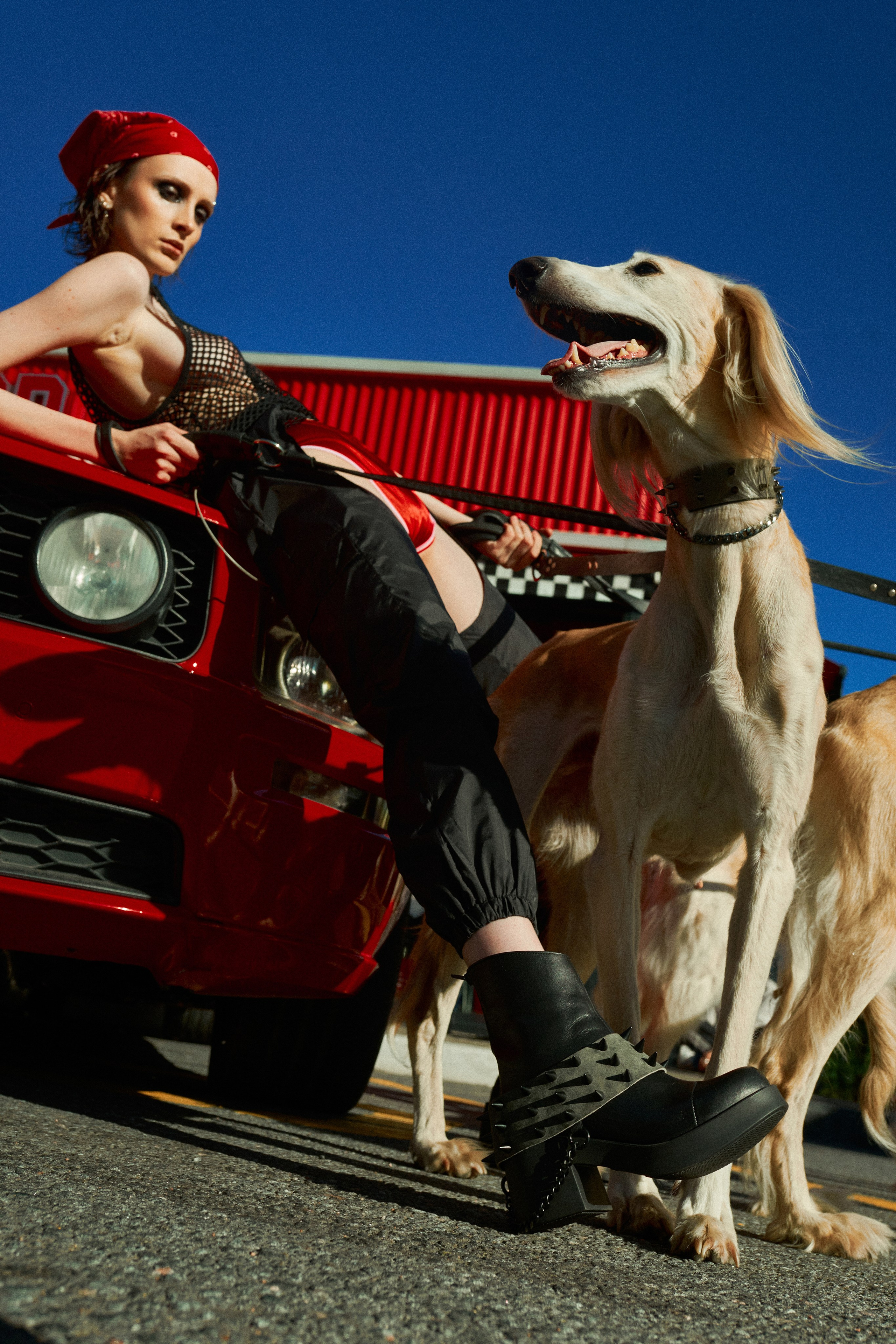 Фото и видео брендам 2 вариант