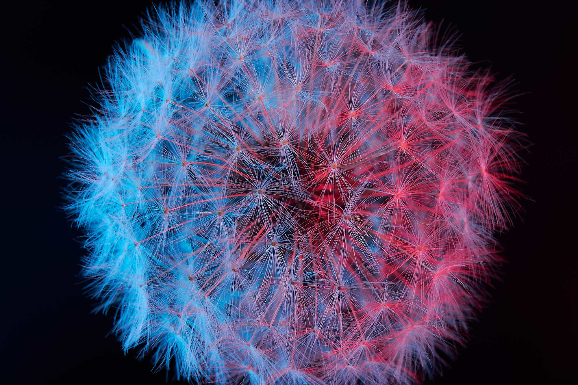 Магазин. Сергей Ильин | Фотограф