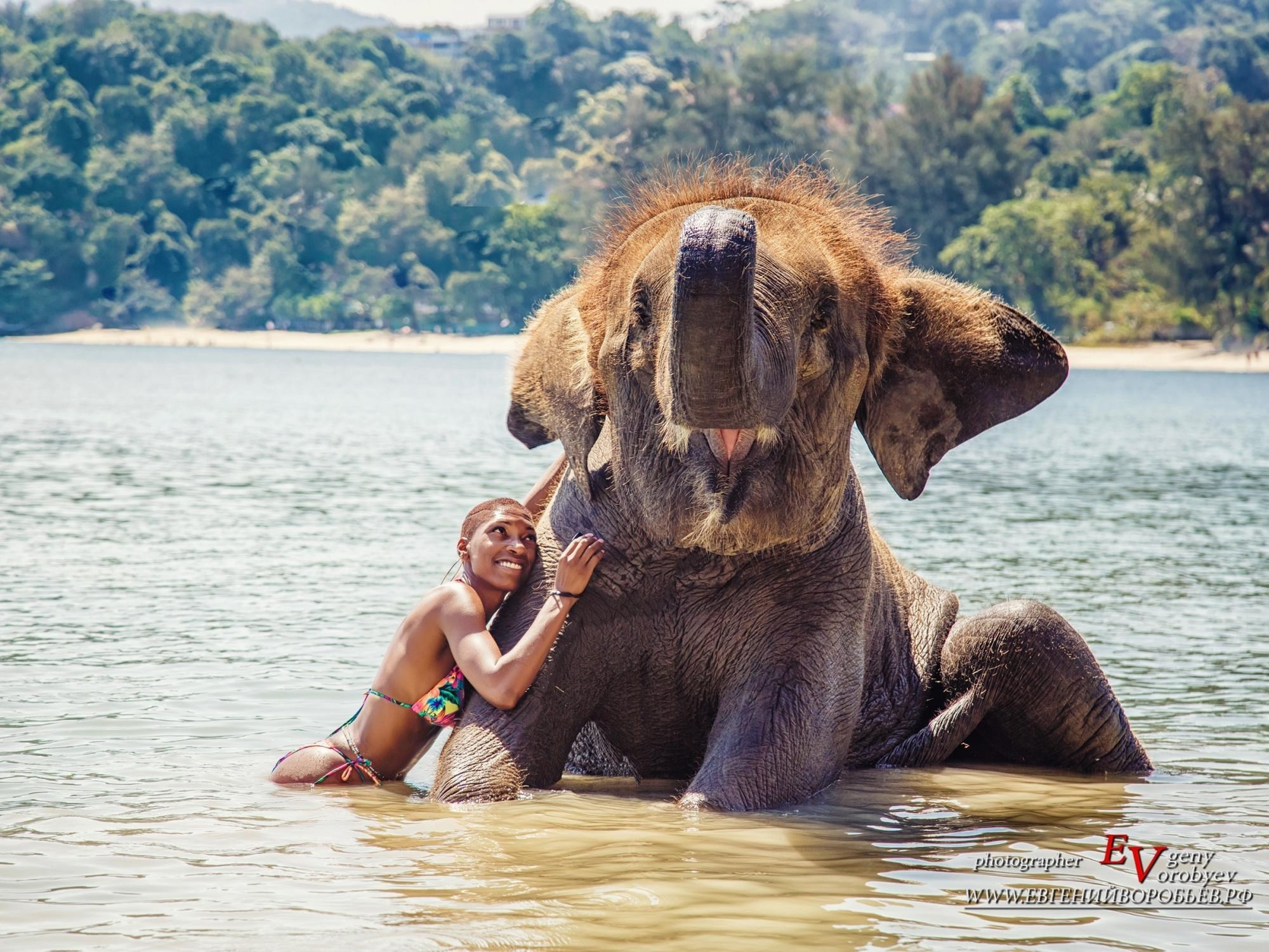 фотосессия купание со слонами на пляже Пхукета цена стоимость заказать фотограф Phuket море слон слонёнок тайланд пляж ката карон патонг майкао камала сурин семейная фотосессия