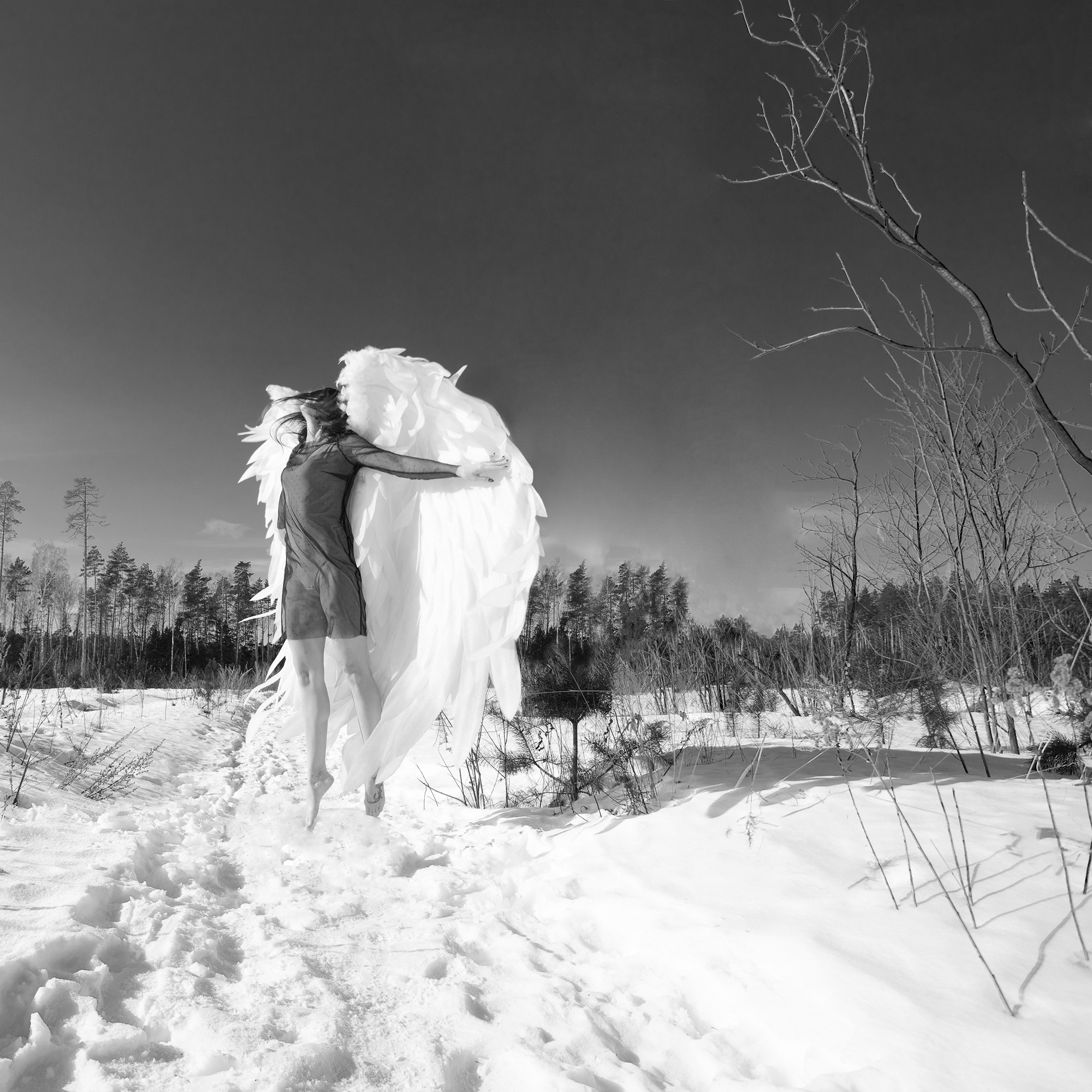 Фэнтезийные фотосессии. Необычные портретные фотосессии под ключ в Москве