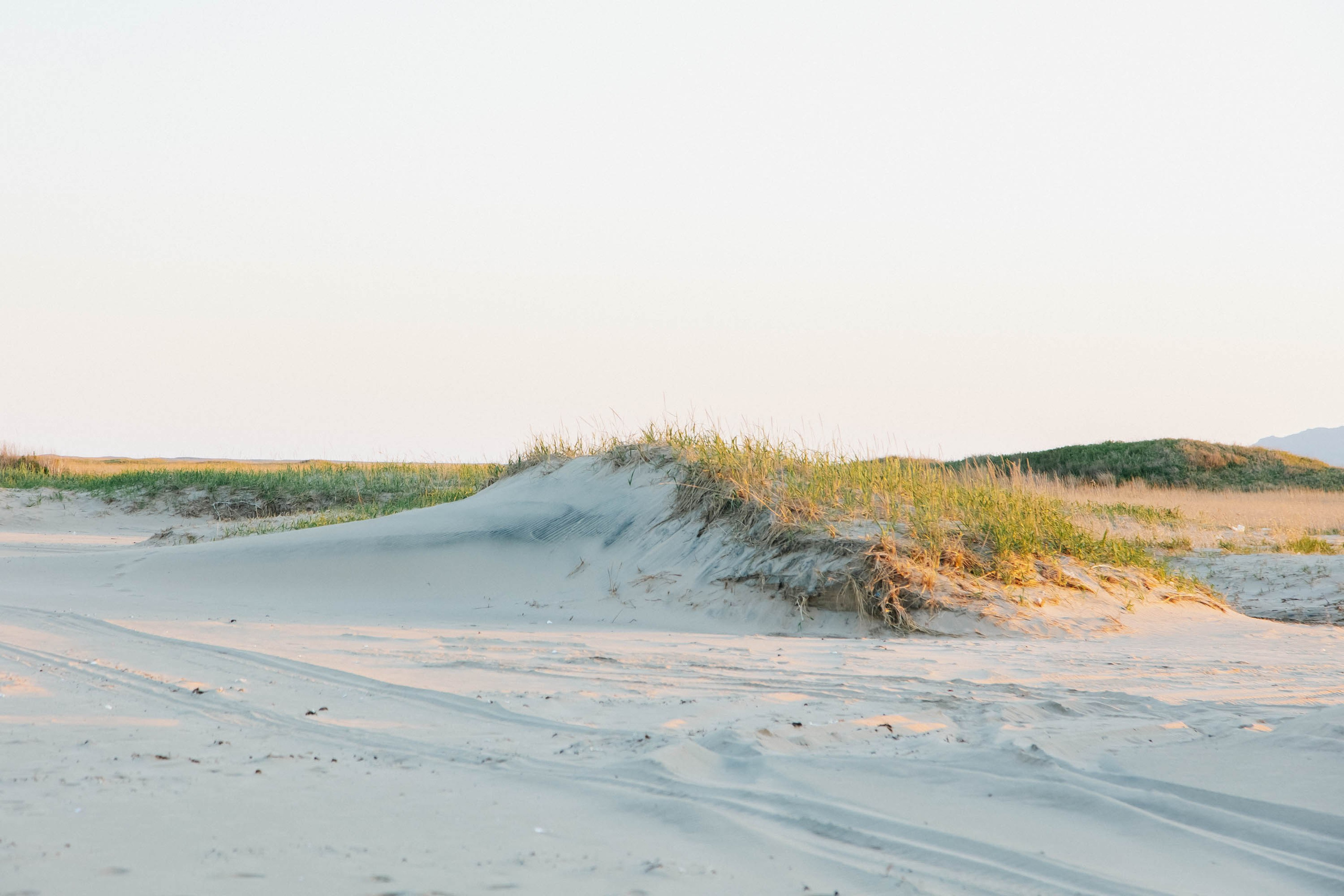 Пока не застроили. Evgeniya Kokurina