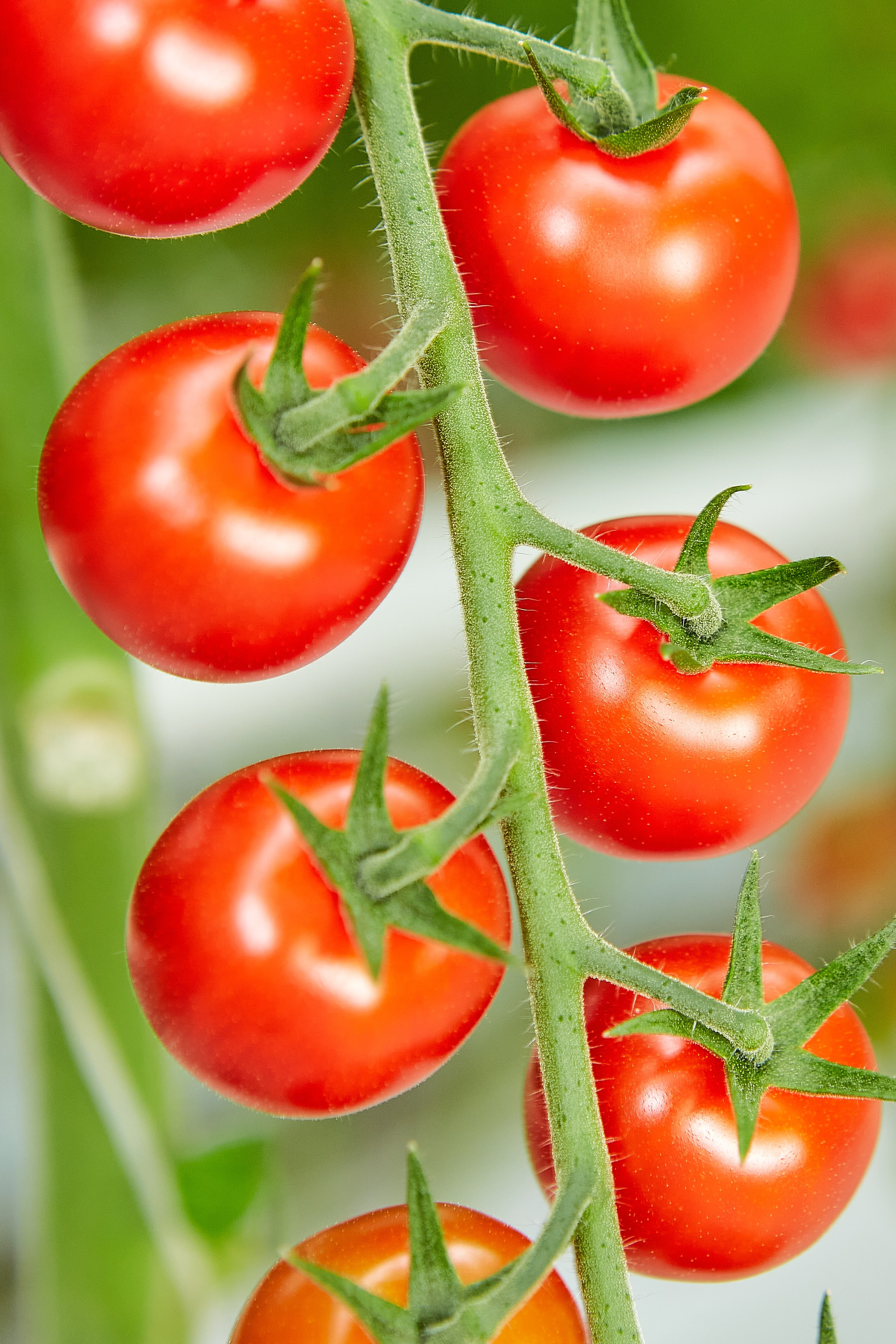 Эко-Культура