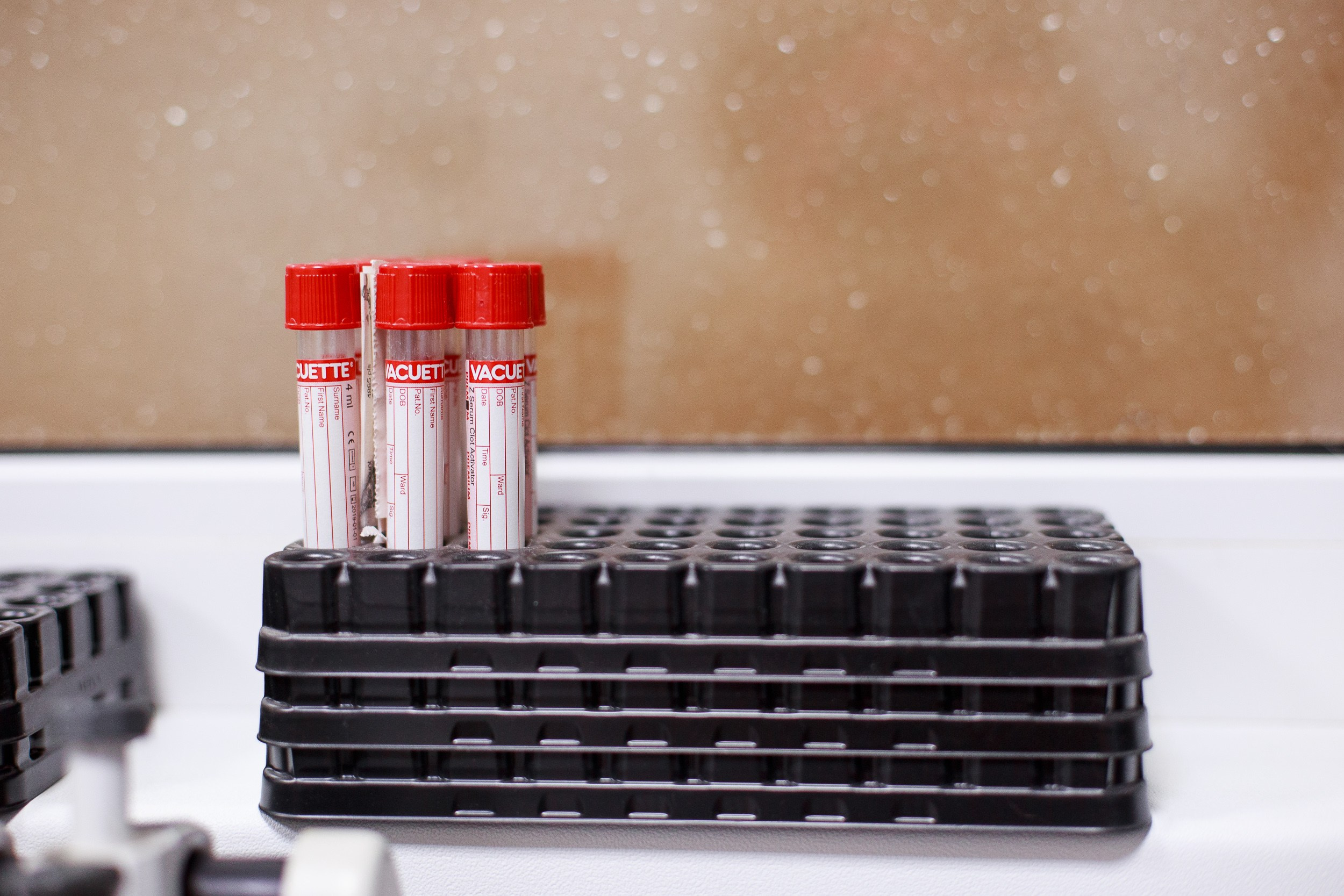 Ветеринарная клиника. Алена Русских — фотограф и графический дизайнер в Ростове-на-дону