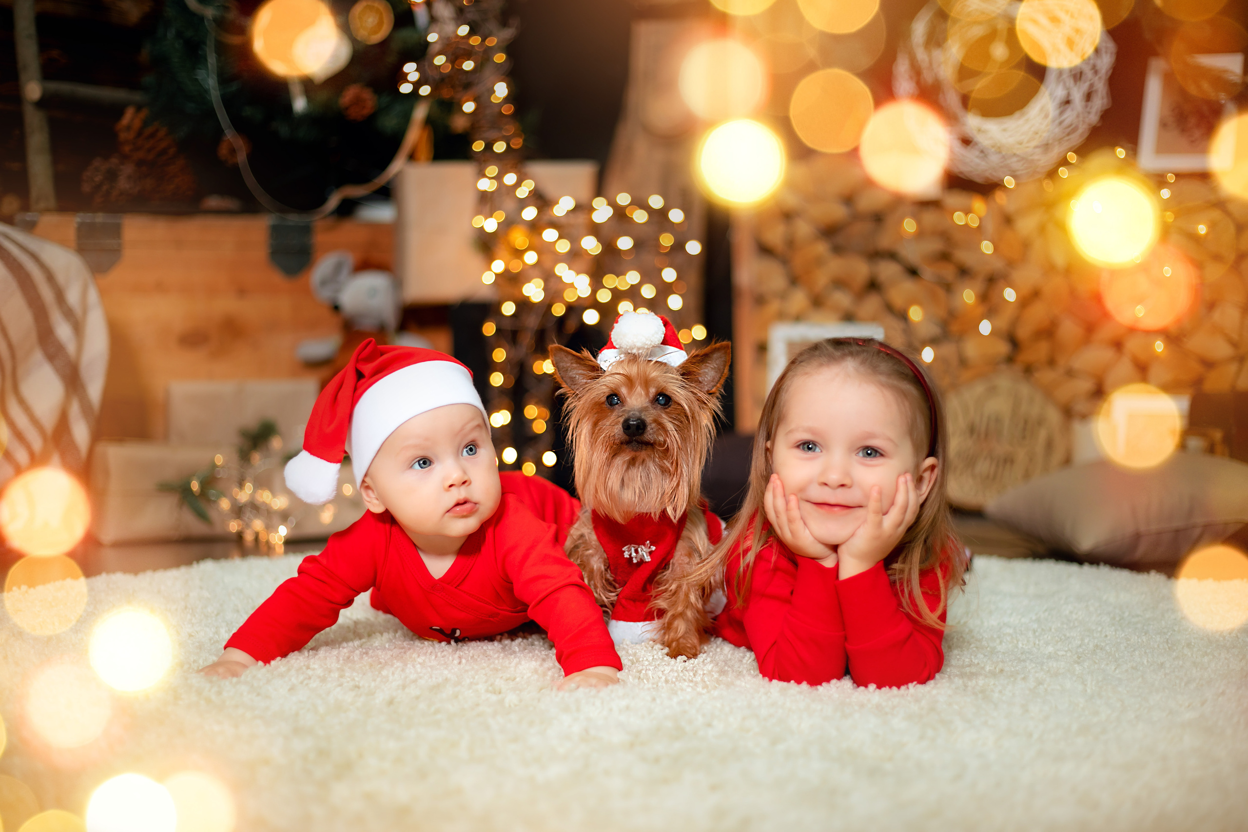 Что надеть на новогоднюю фотосессию?. Дарья Бухреева — фотограф, видеограф и фототерапевт. Москва и мир