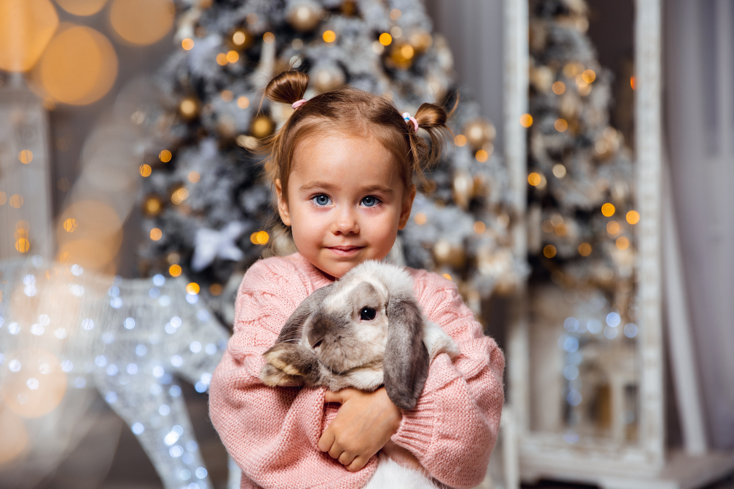 Новогодние фотостудии. Дарья Бухреева — фотограф, видеограф и фототерапевт. Москва и мир