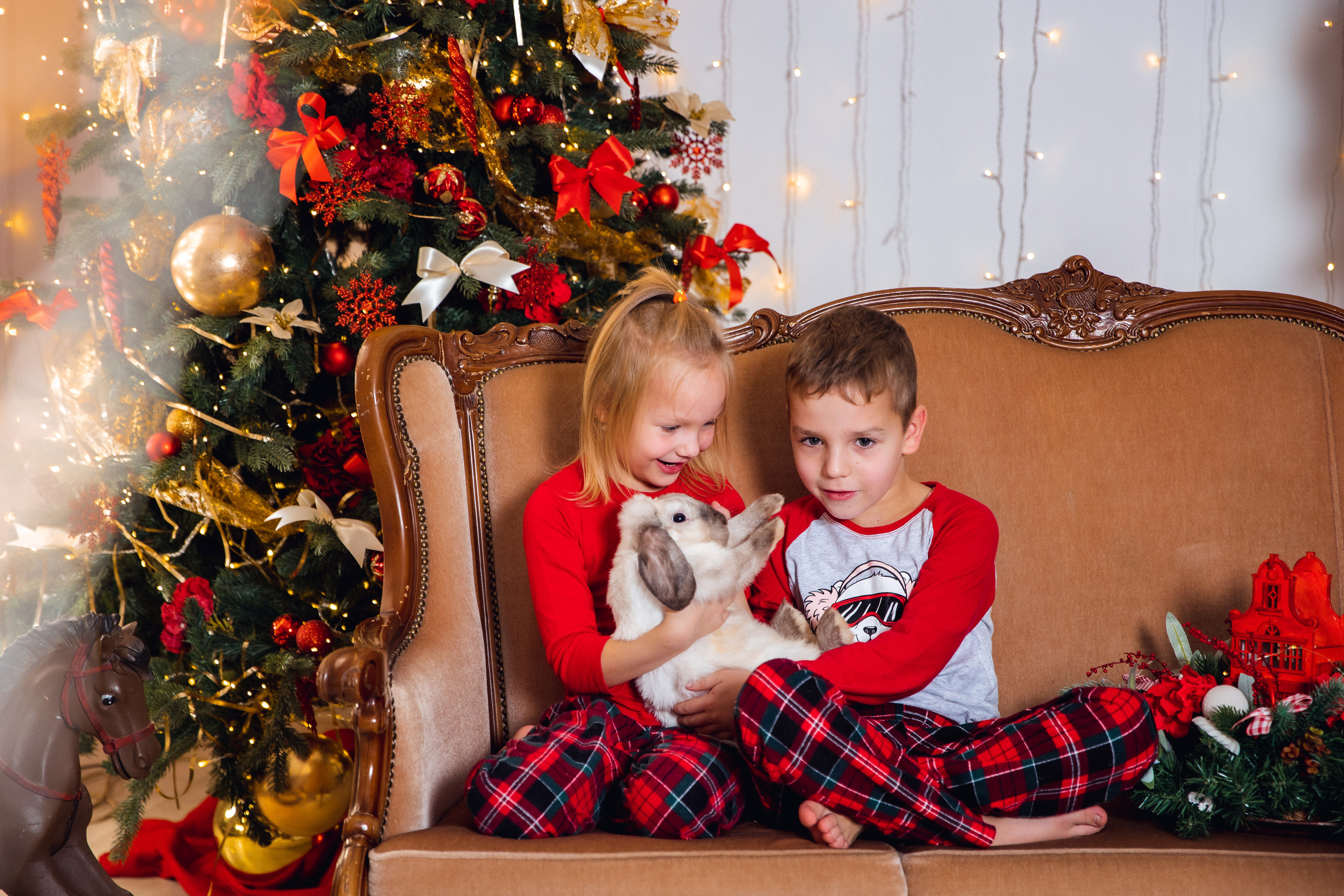 Новогодние фотостудии. Дарья Бухреева — фотограф, видеограф и фототерапевт. Москва и мир
