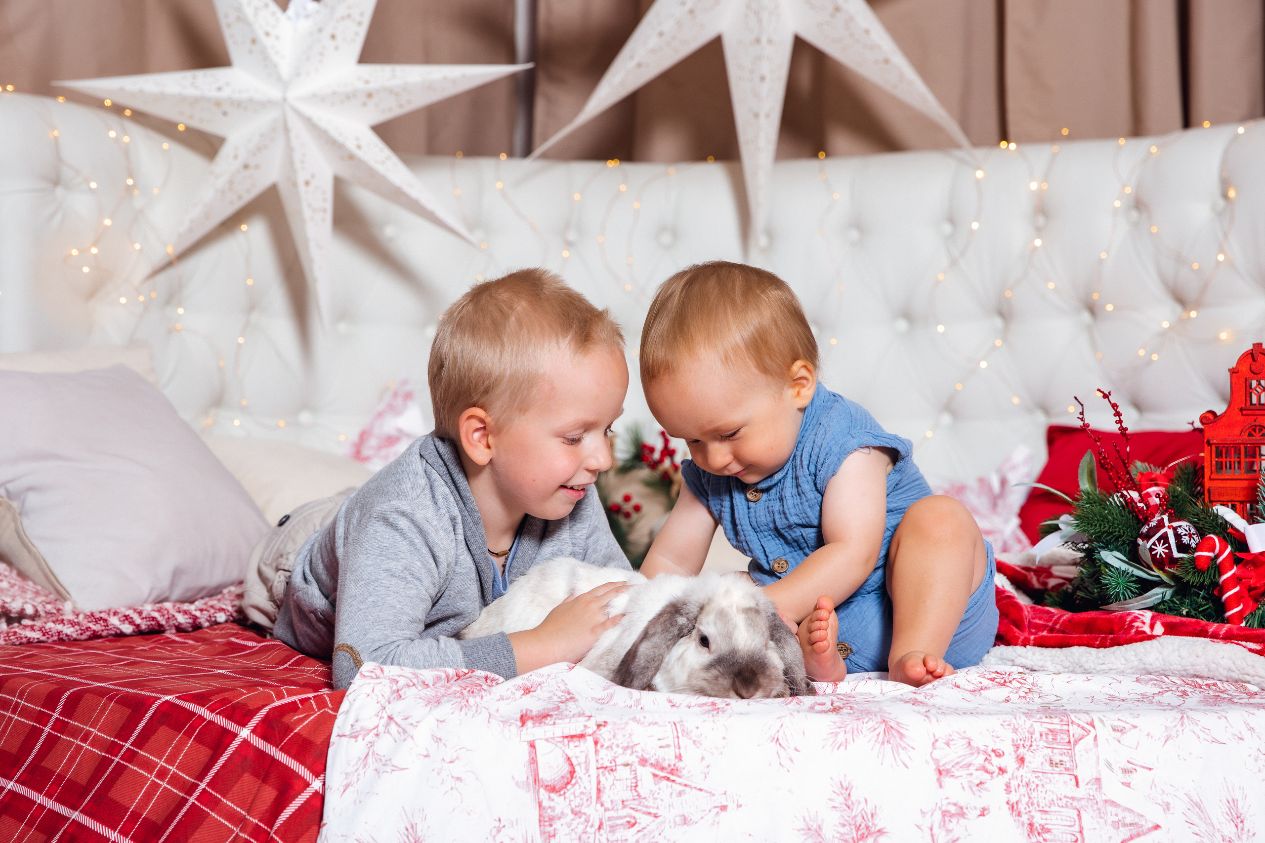 Новогодние фотостудии. Дарья Бухреева — фотограф, видеограф и фототерапевт. Москва и мир