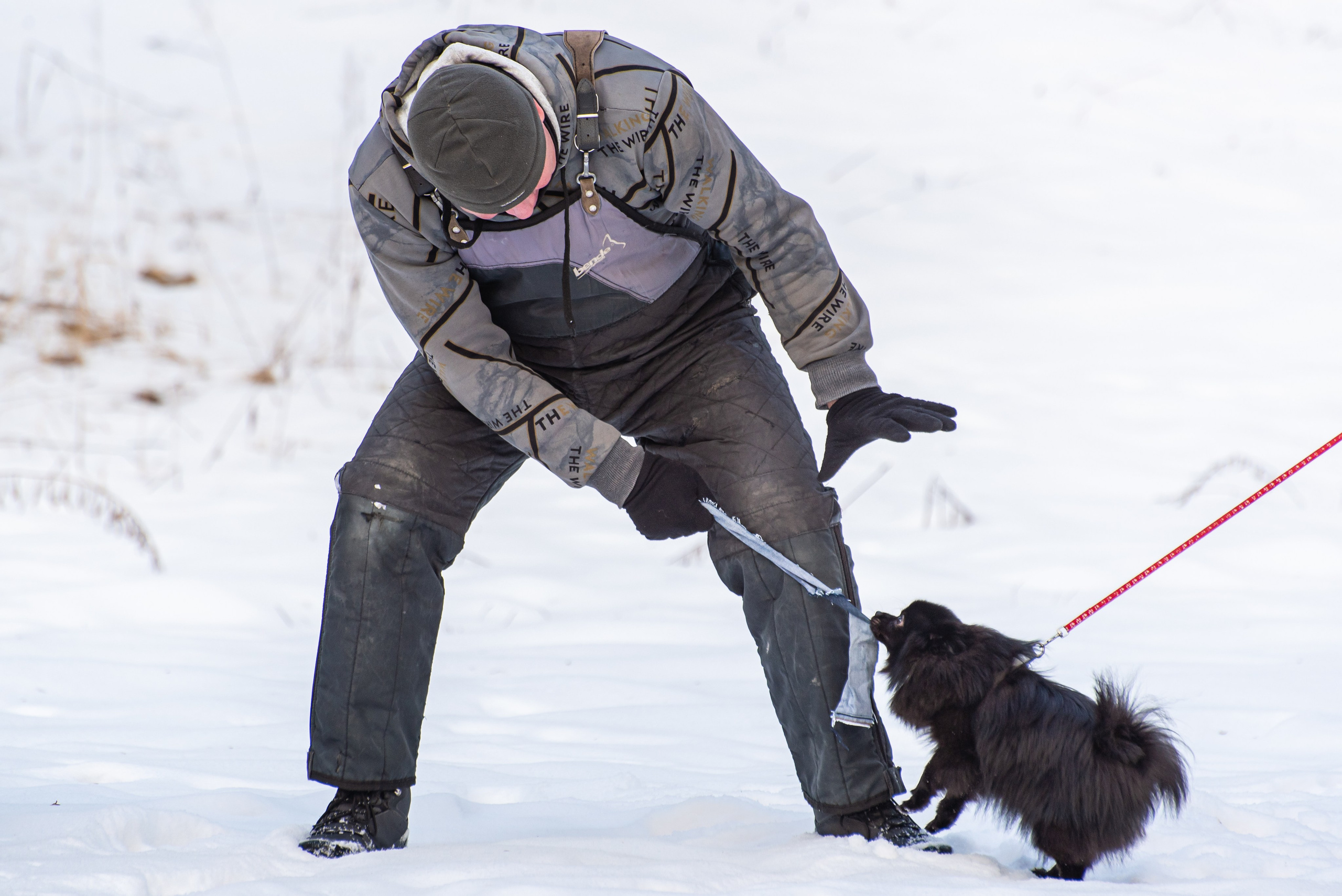 Фотосессии в кинологическом лагере. Фотограф Макс Огурцов в Нижнем Новгороде