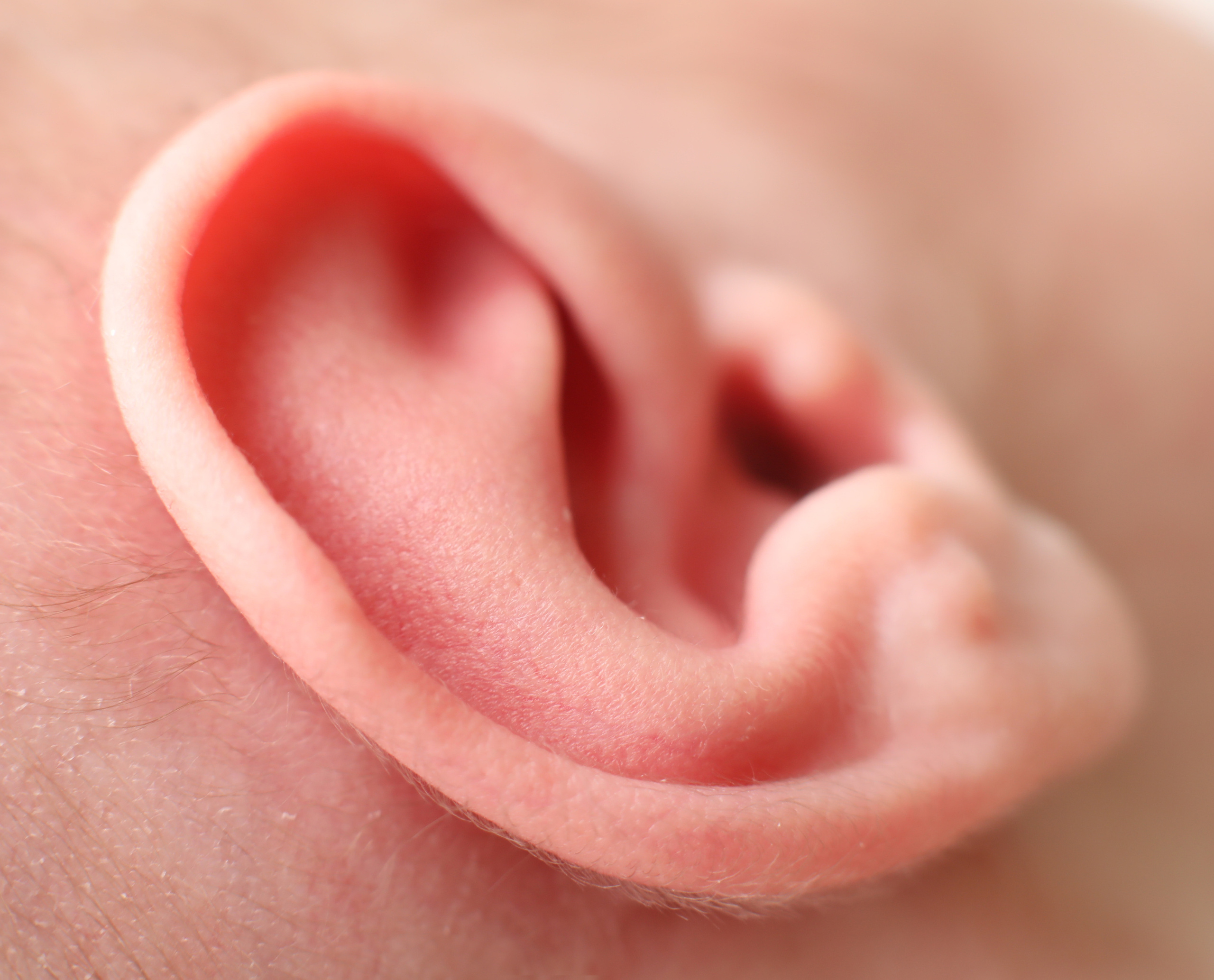 Newborn photographer. Keski-Suomi (Central Finland)