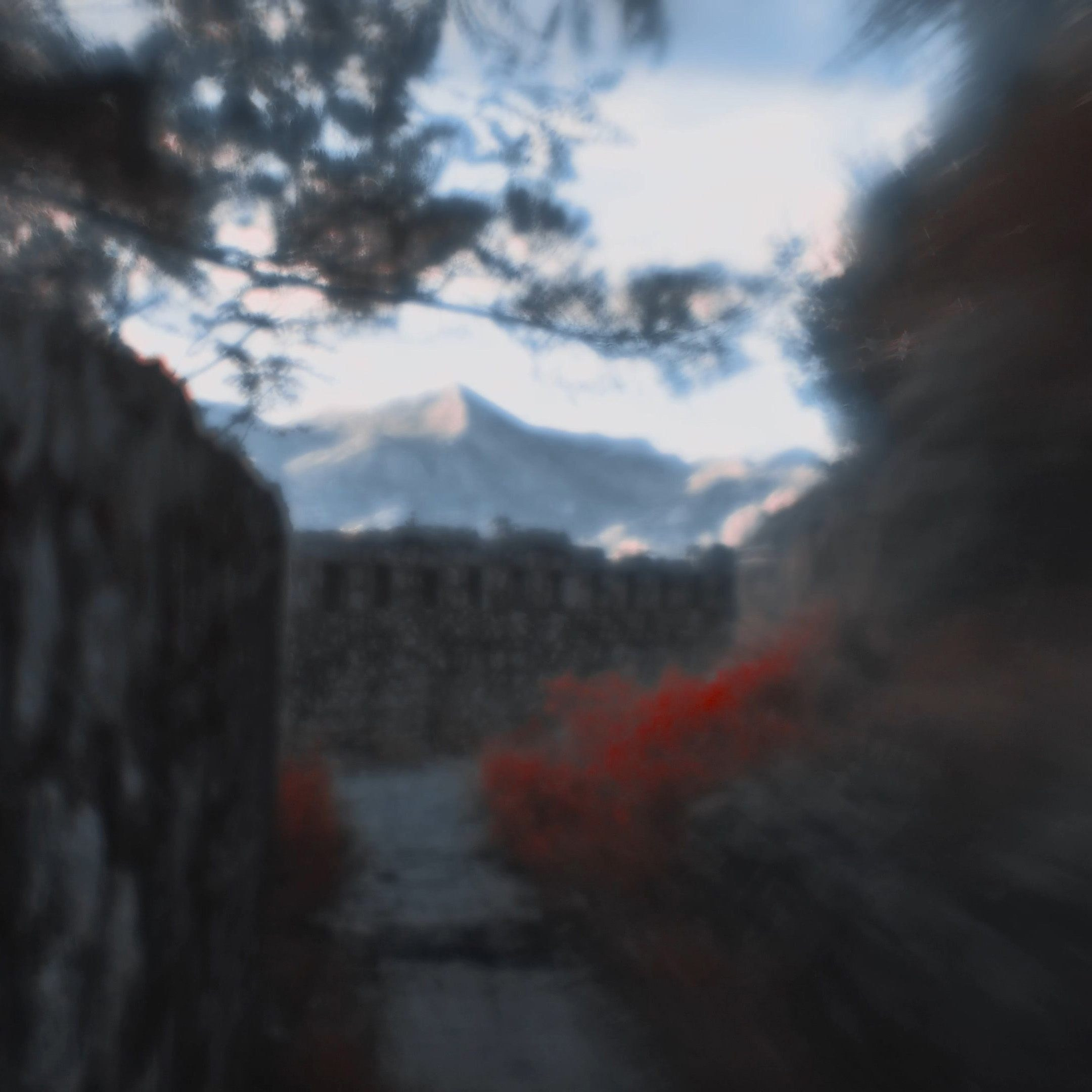 MONTENEGRO. Eduard Kopysov — International visual artist