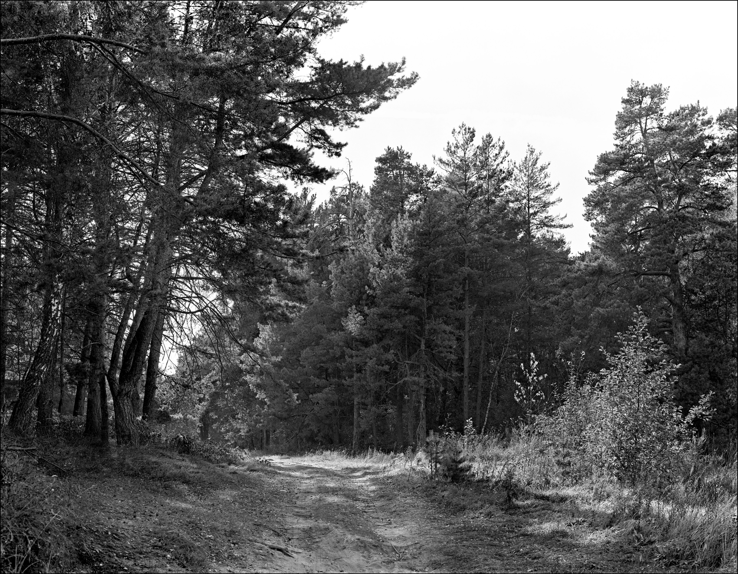 Landscape. Sergey Kondriuk art-photographer | artist