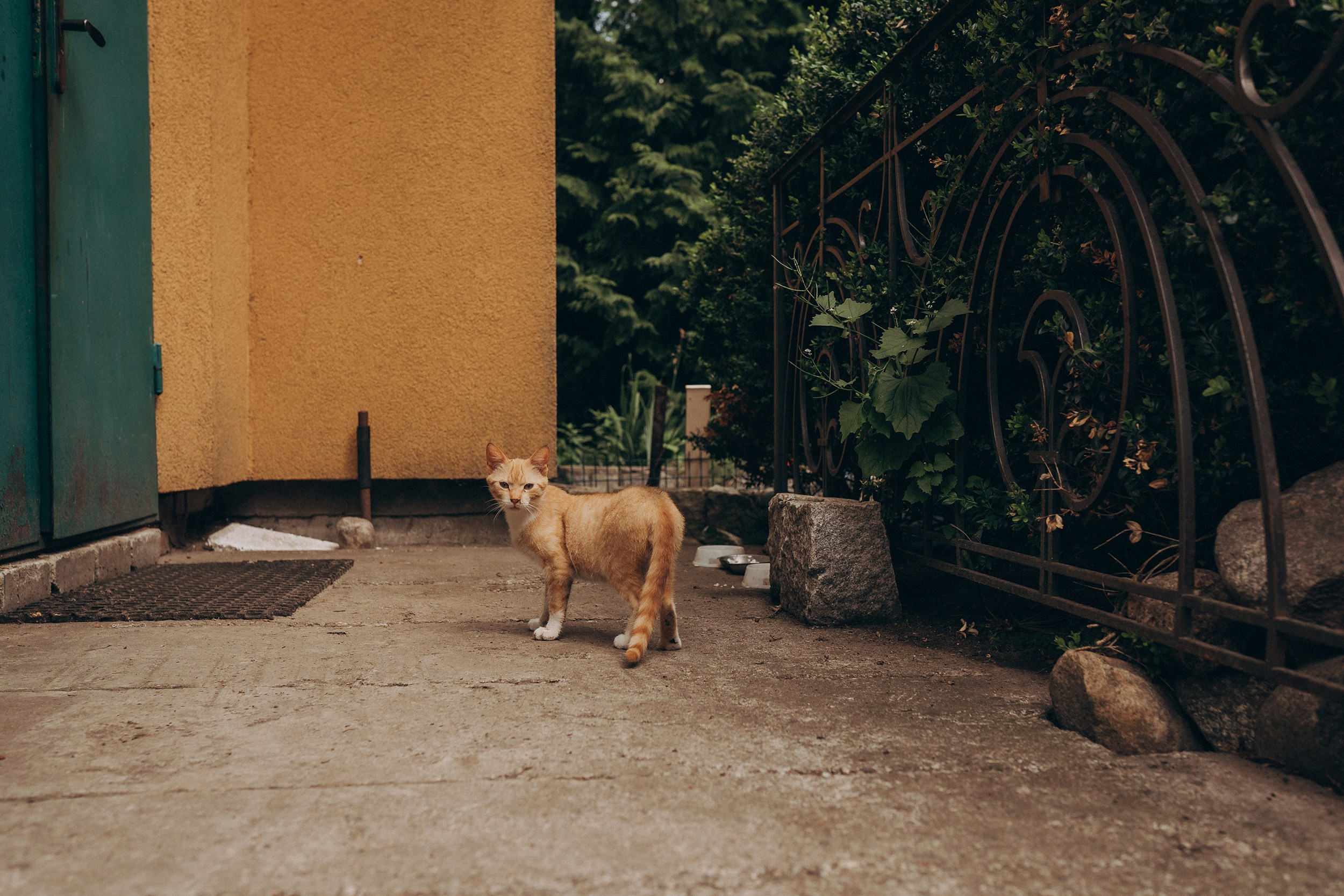 Поколения. Детский и семейный фотограф — Калининград — Юля Насифуллина