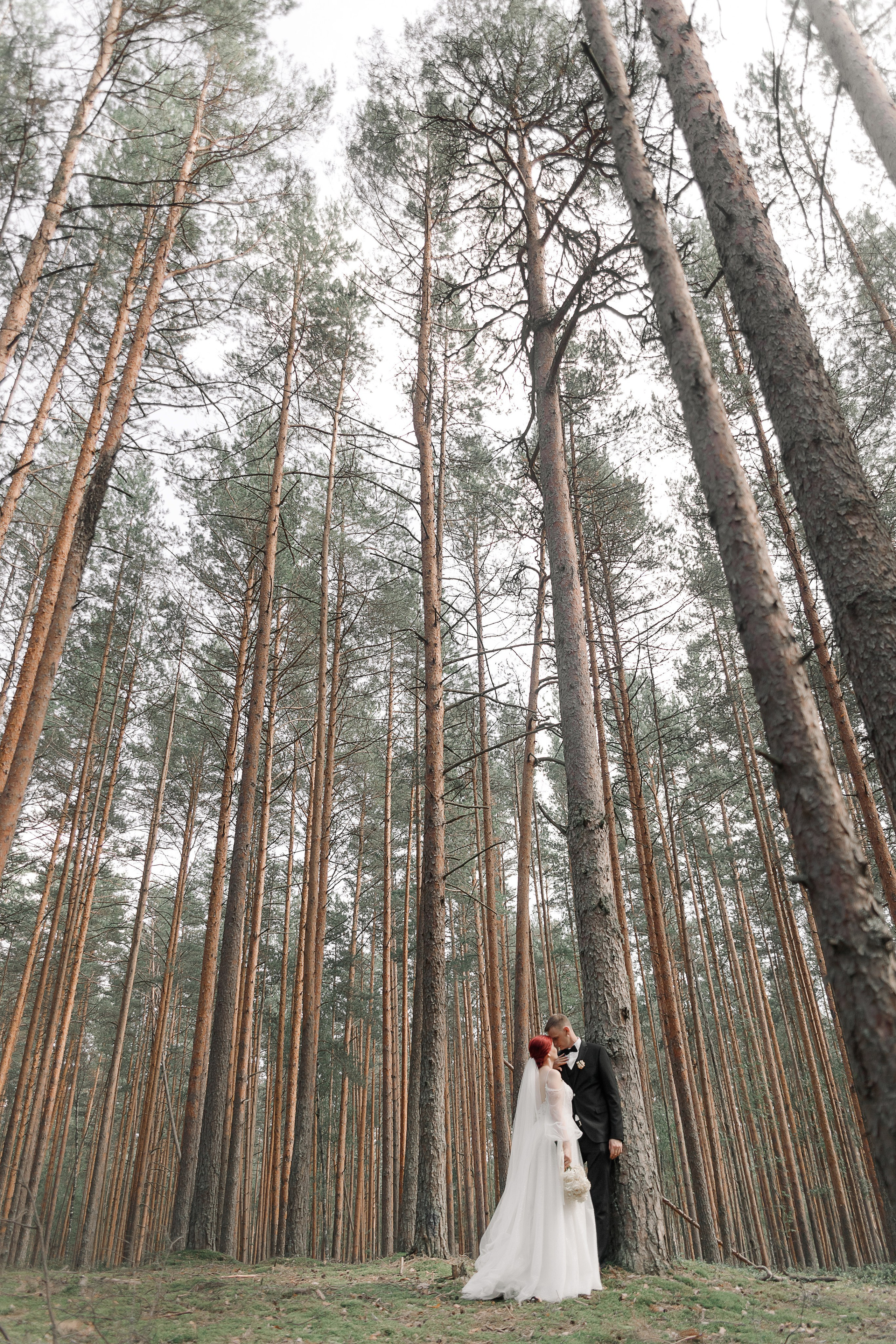 Свадебная съемка (1). Свадебный и семейный фотограф в Твери и Тверской области