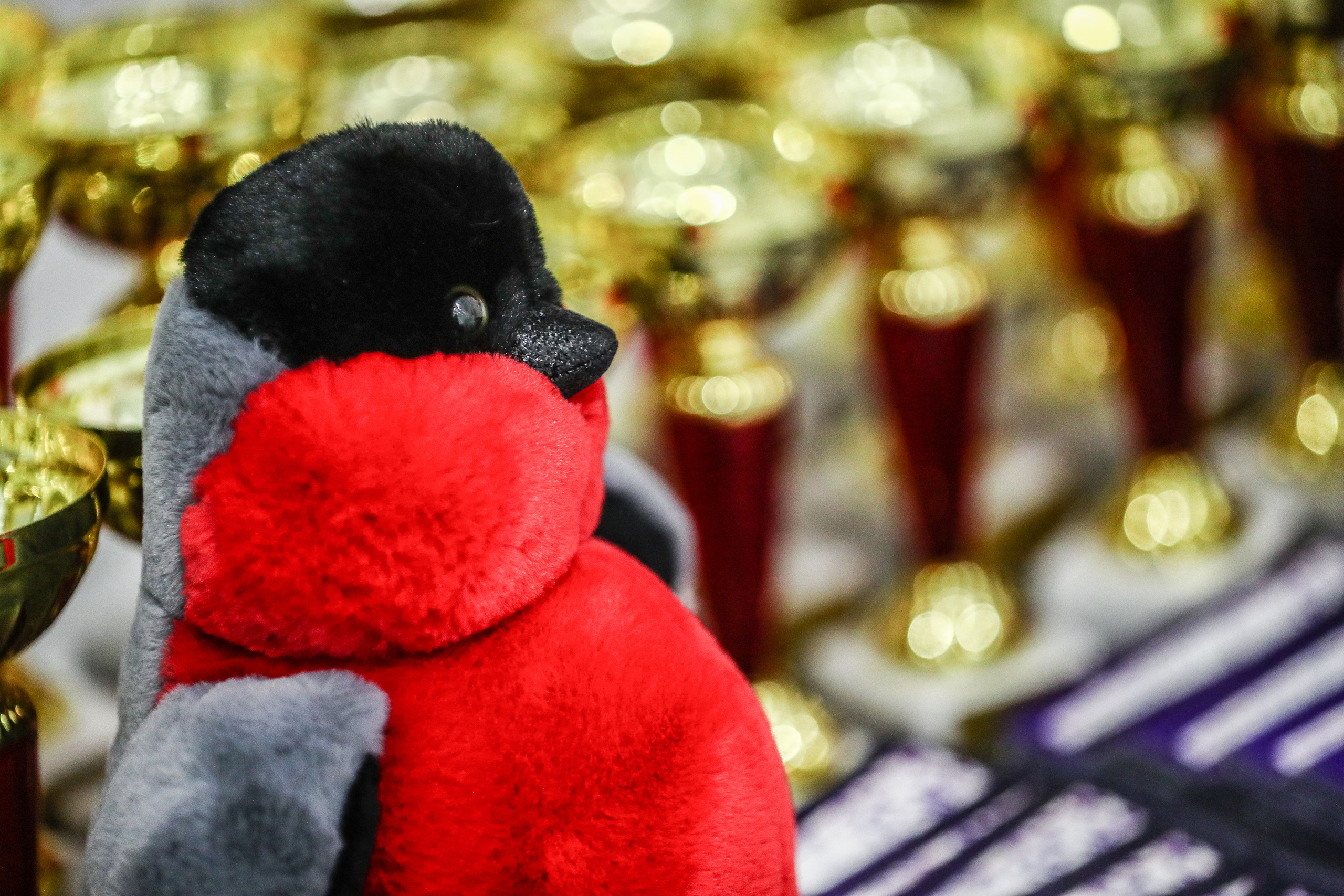 Турнир по фигурному катанию на призы СК «Снегирь Арена»: фото. Фотограф художественная гимнастика, фигурное катание, Москва и область