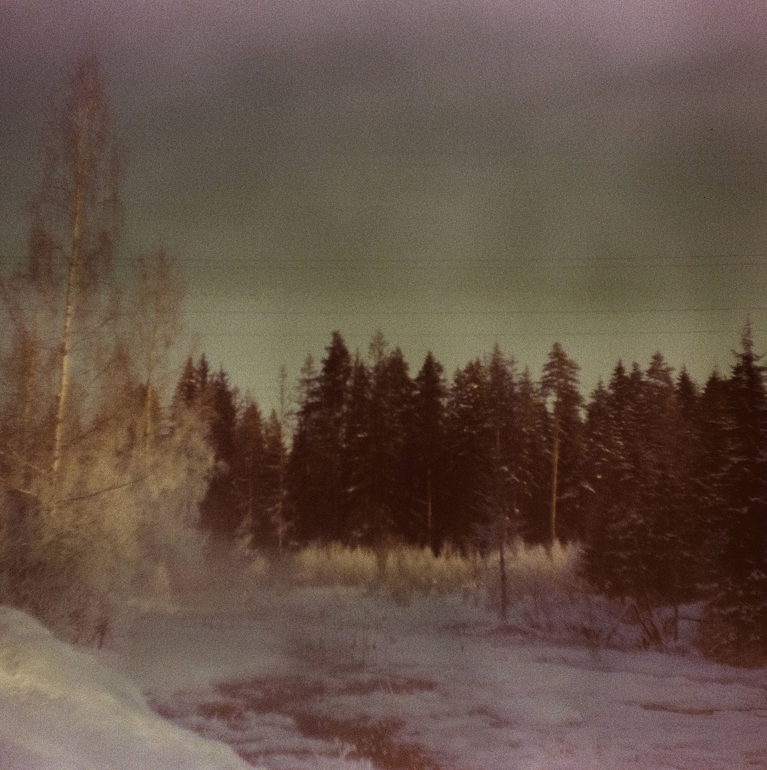 Kodak Ektachrome 64T / Franka Solida III / Архангельское, Лукино