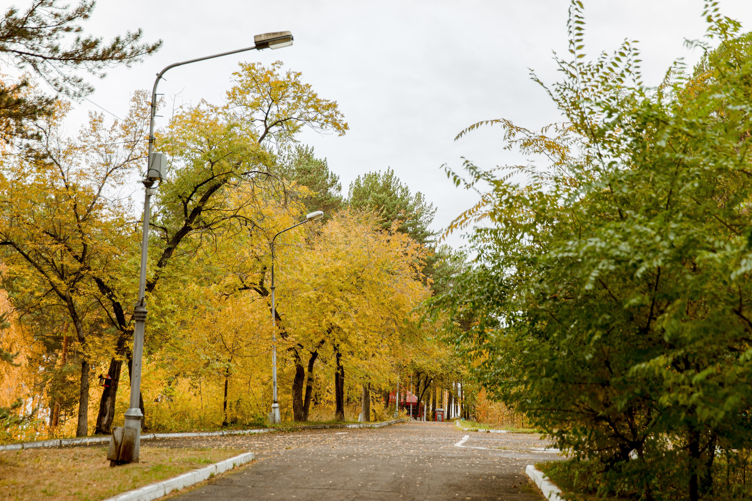 Осень в парке. Семейный и детский фотограф в Железногорске Саламахо Ольга