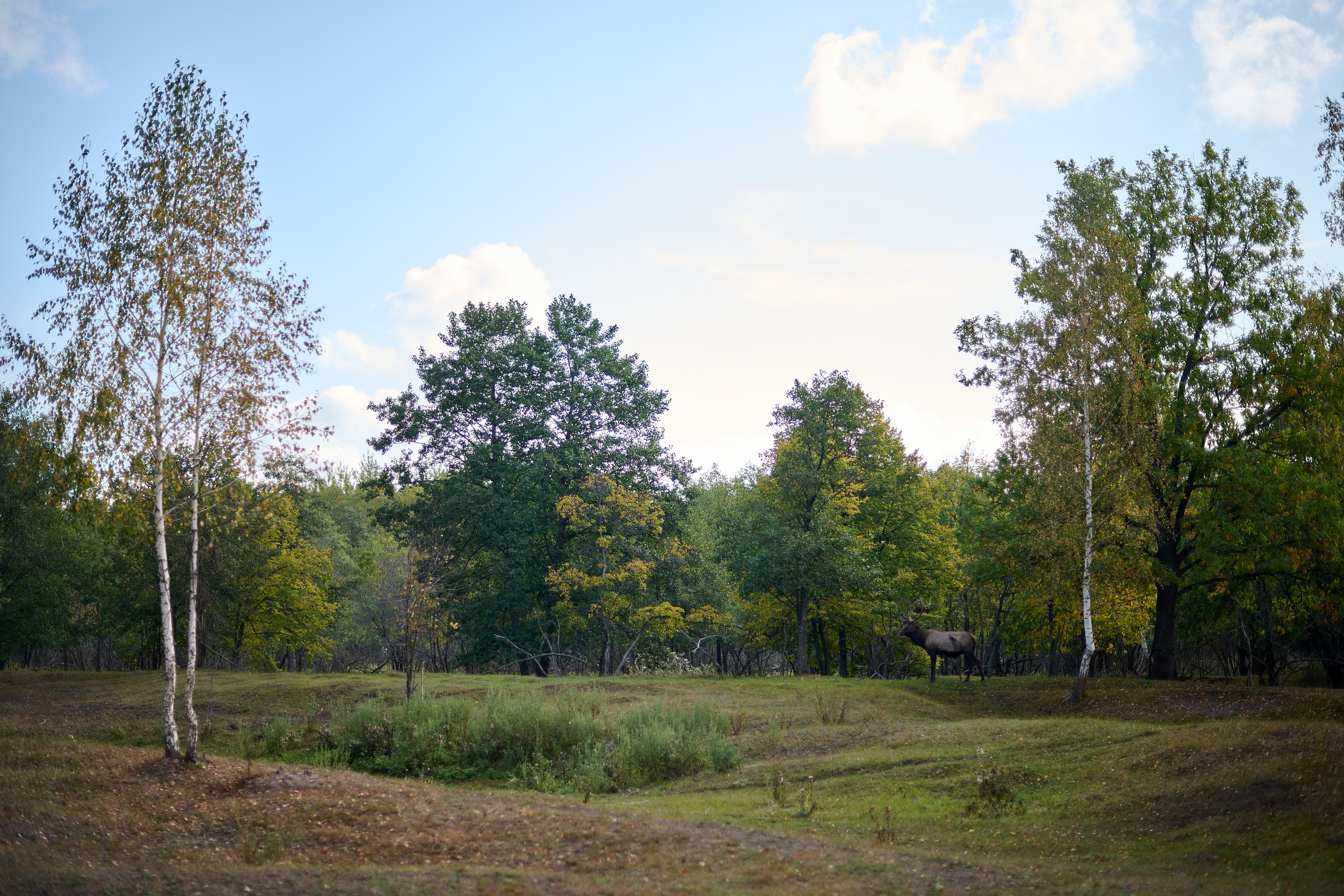 Кречет. Фотосъемка мероприятий