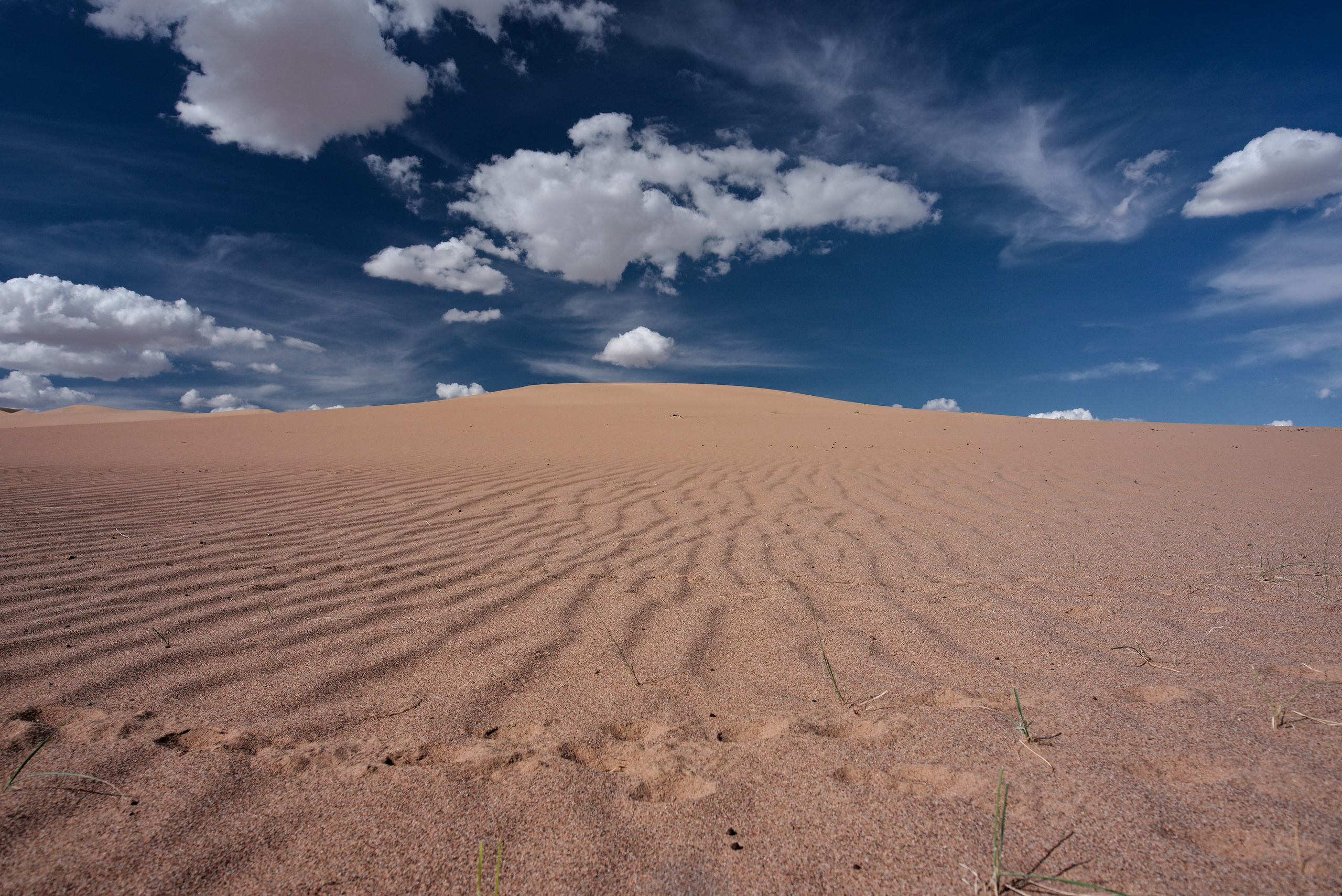 Экспедиция в Монголию (котловина больших озер). Семоха Валерий. Фотограф