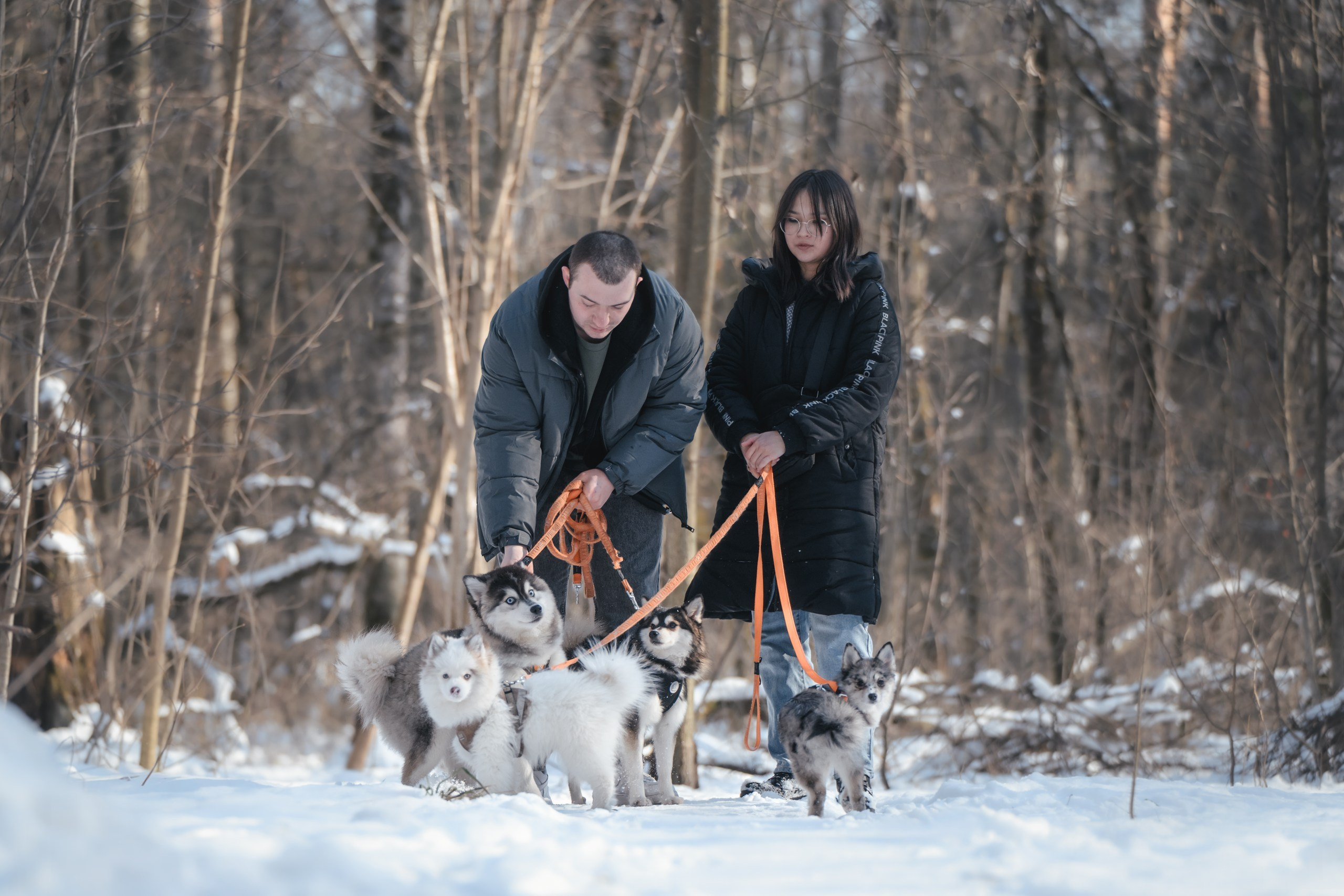 Фотограф Анималист в Москве Анастасия Жучкова