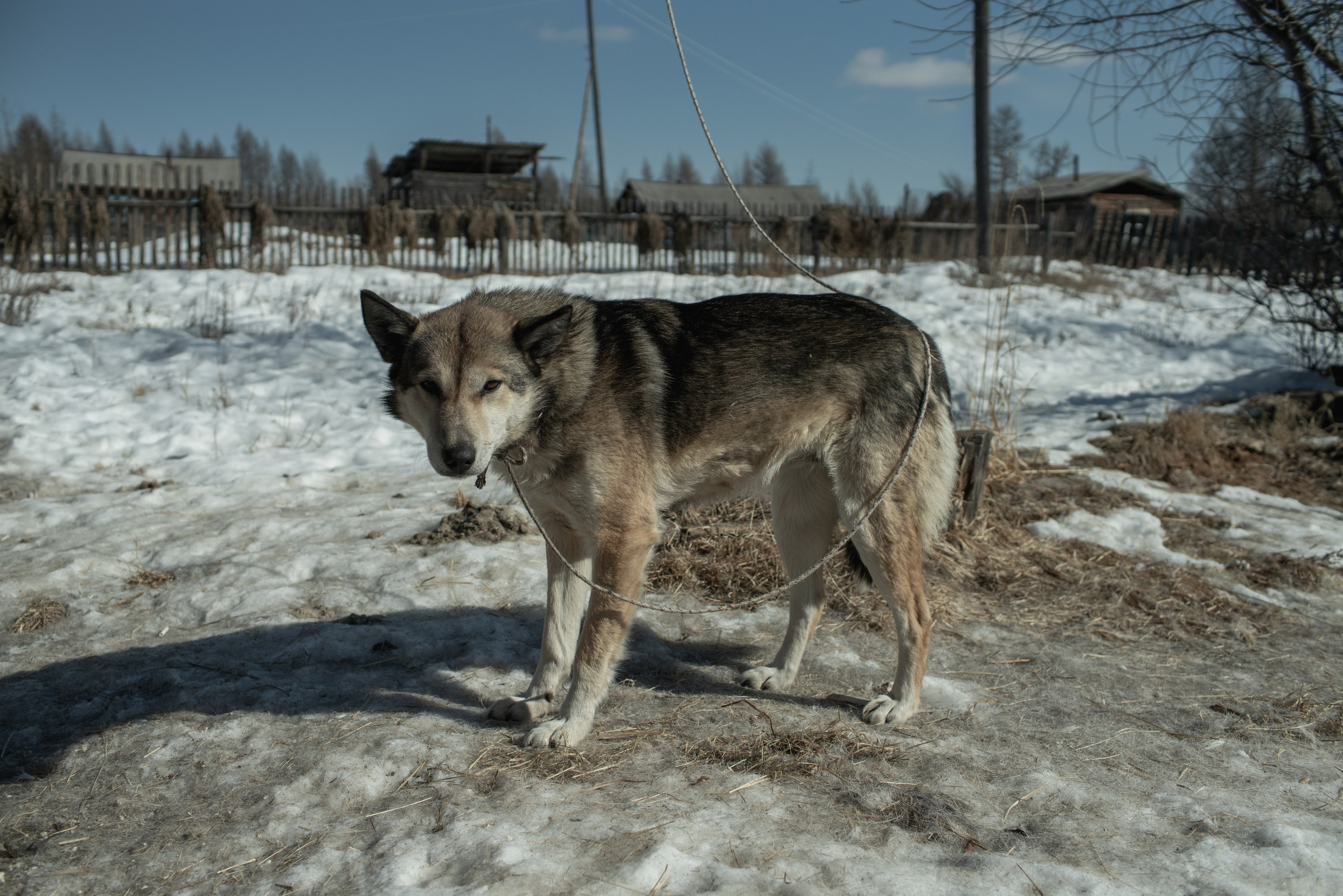 Фотопроект о семейной памяти и травме. Vasily Pindyurin visual artist