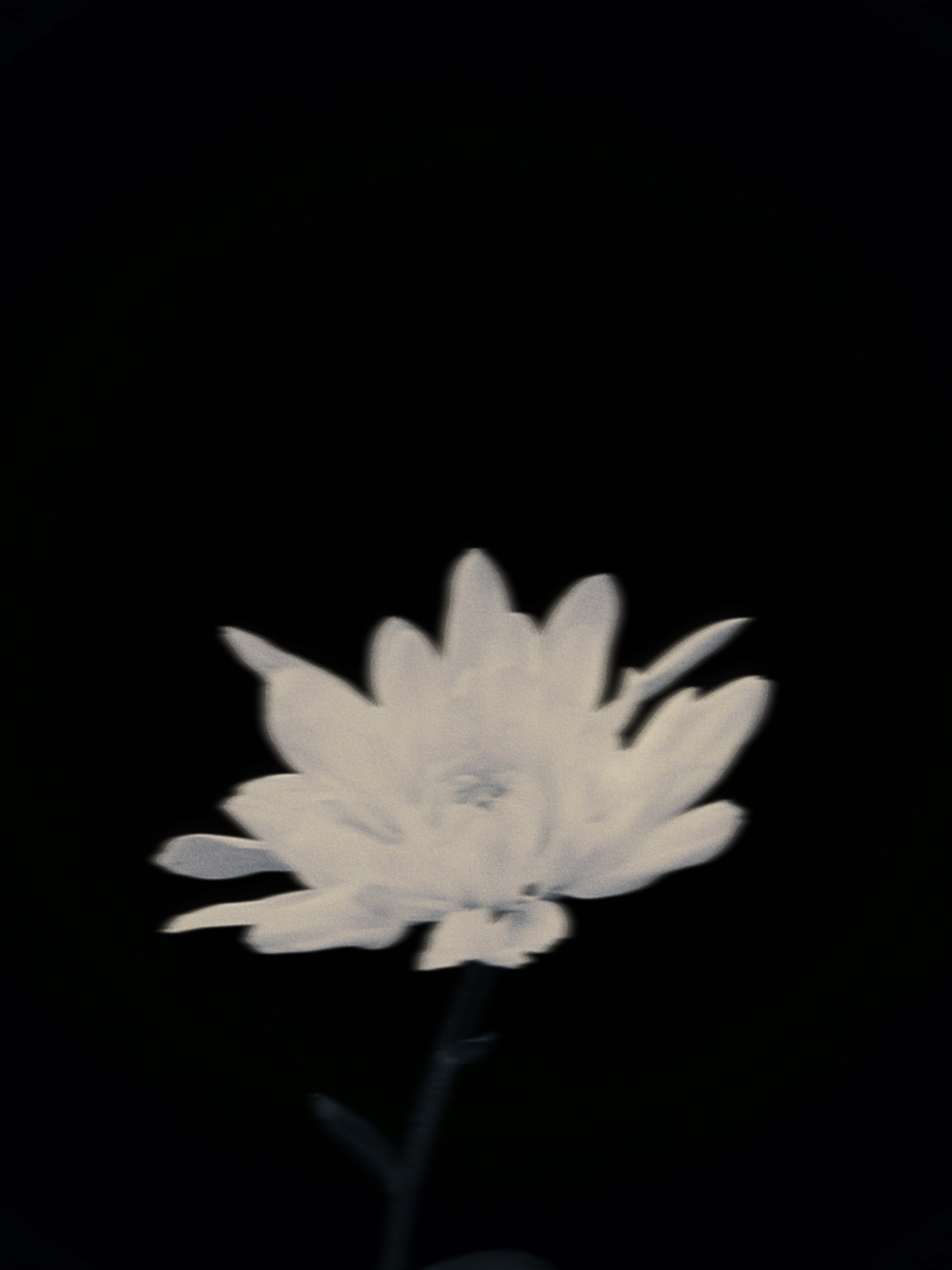 Фотограф из Санкт-Петербурга/Катерина Зайцева