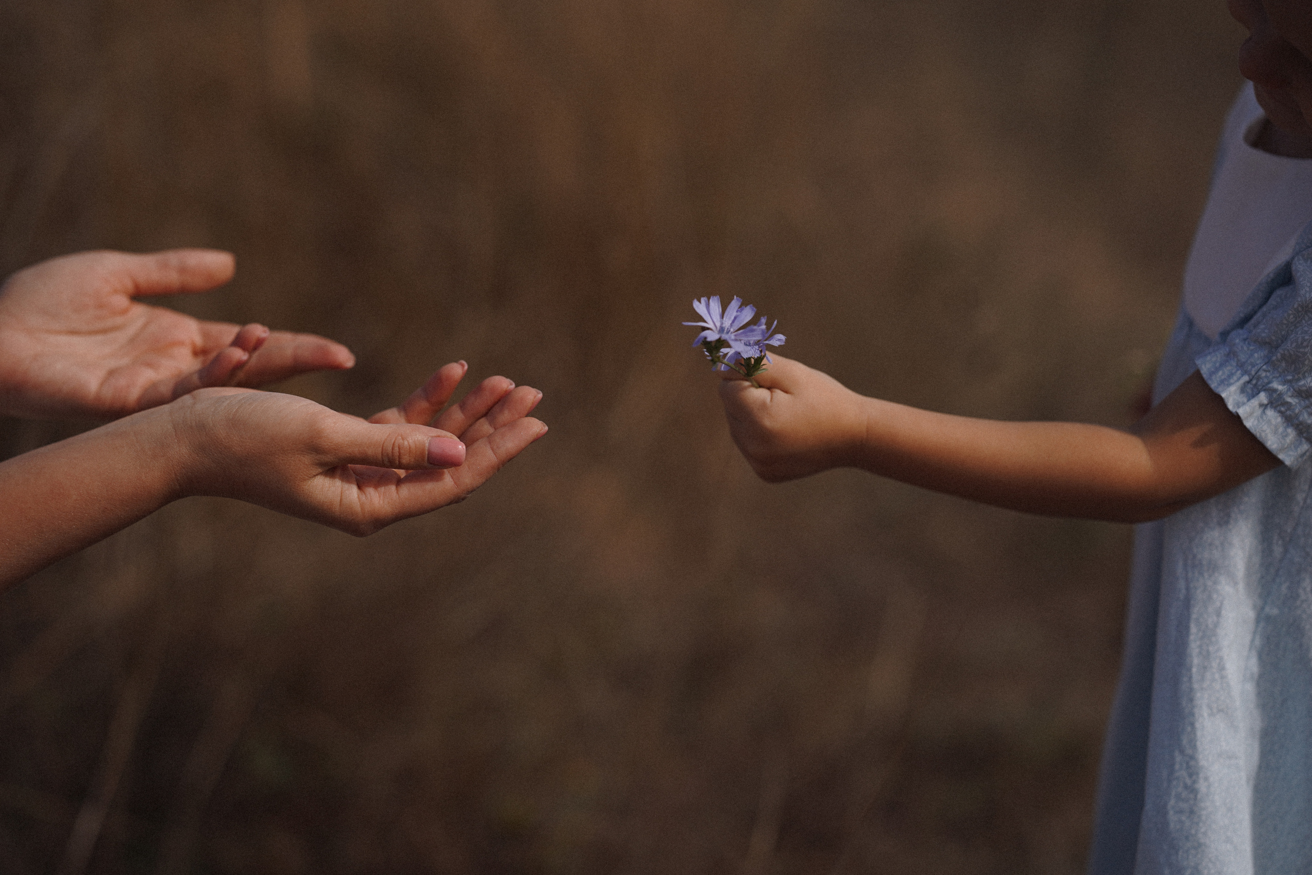 Следуя за чудом. Фотограф Дарья Филатова