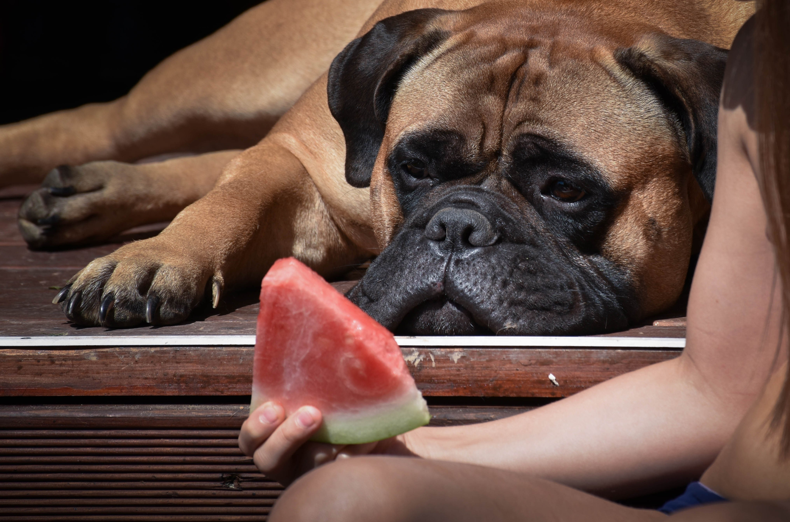 В созвучии с природой. Фотограф Светлана В. Пронина, Москва
