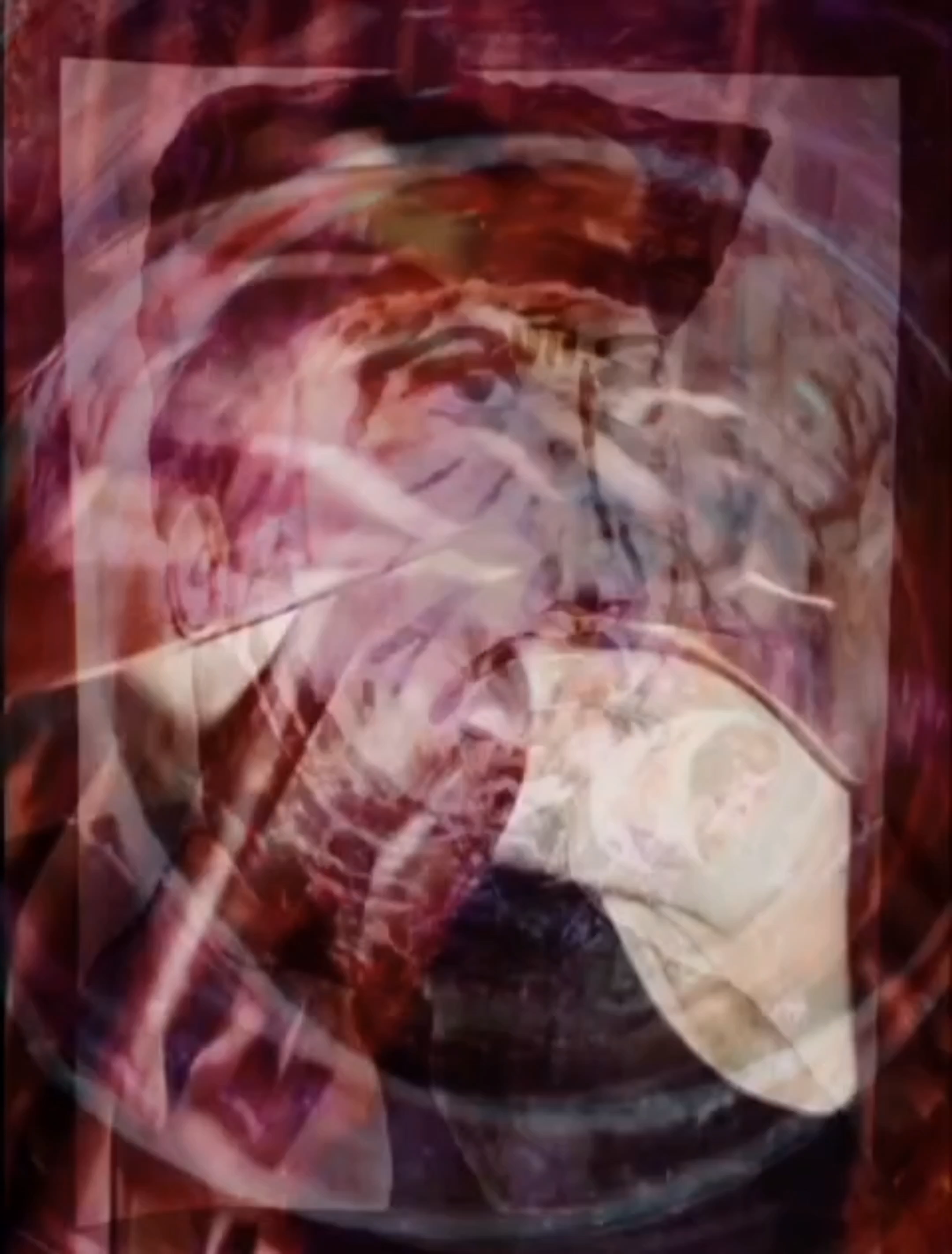 Stillness in Chaos. Yulia Yurchevskaya | Art Director & Visual Visionary