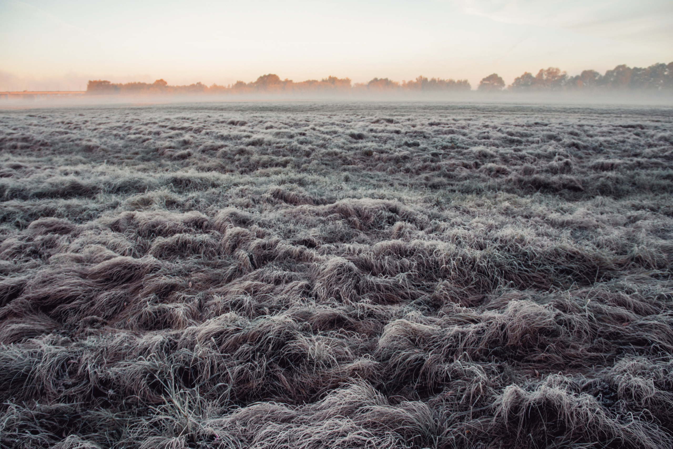 Волшебное утро в первый день октября. С любовью, фотохудожник