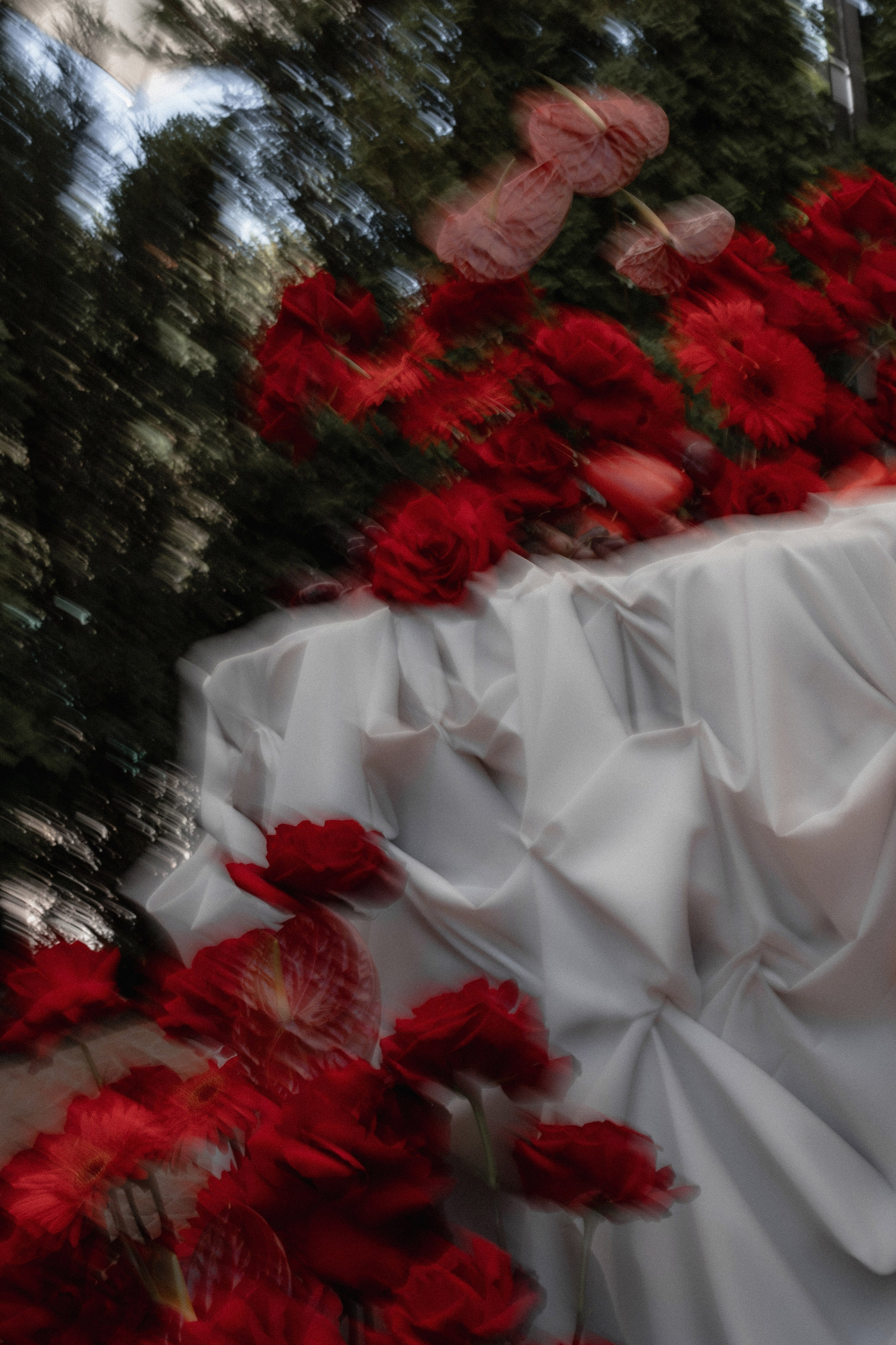 Информация / Прайс. Фотограф Трифон Мира