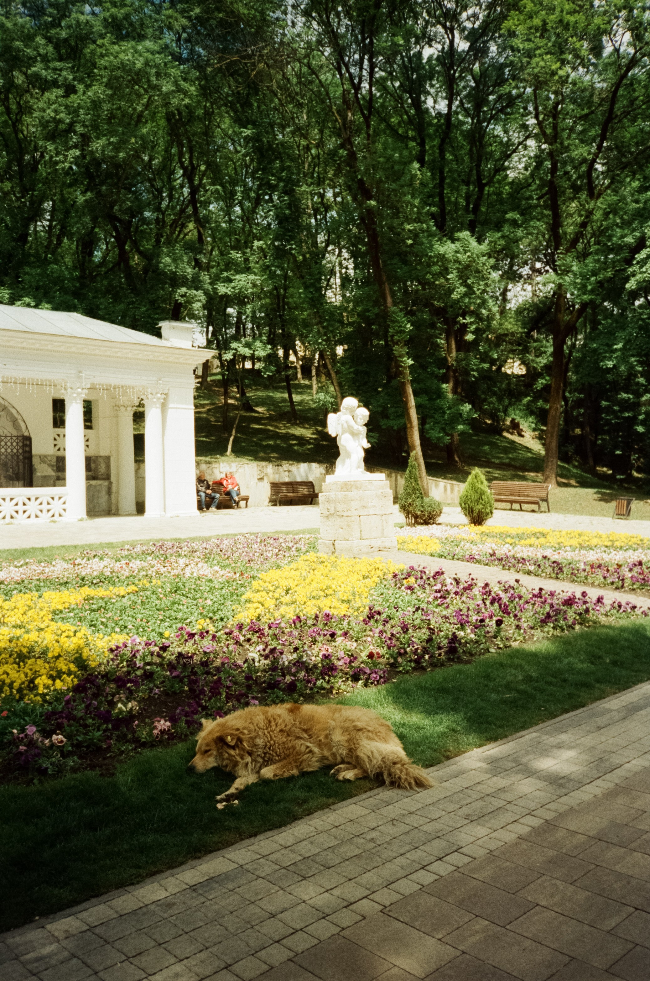 Солнечные Ессентуки. Прогулка в Курортном парке. Фотограф-документалист Мария Осокина