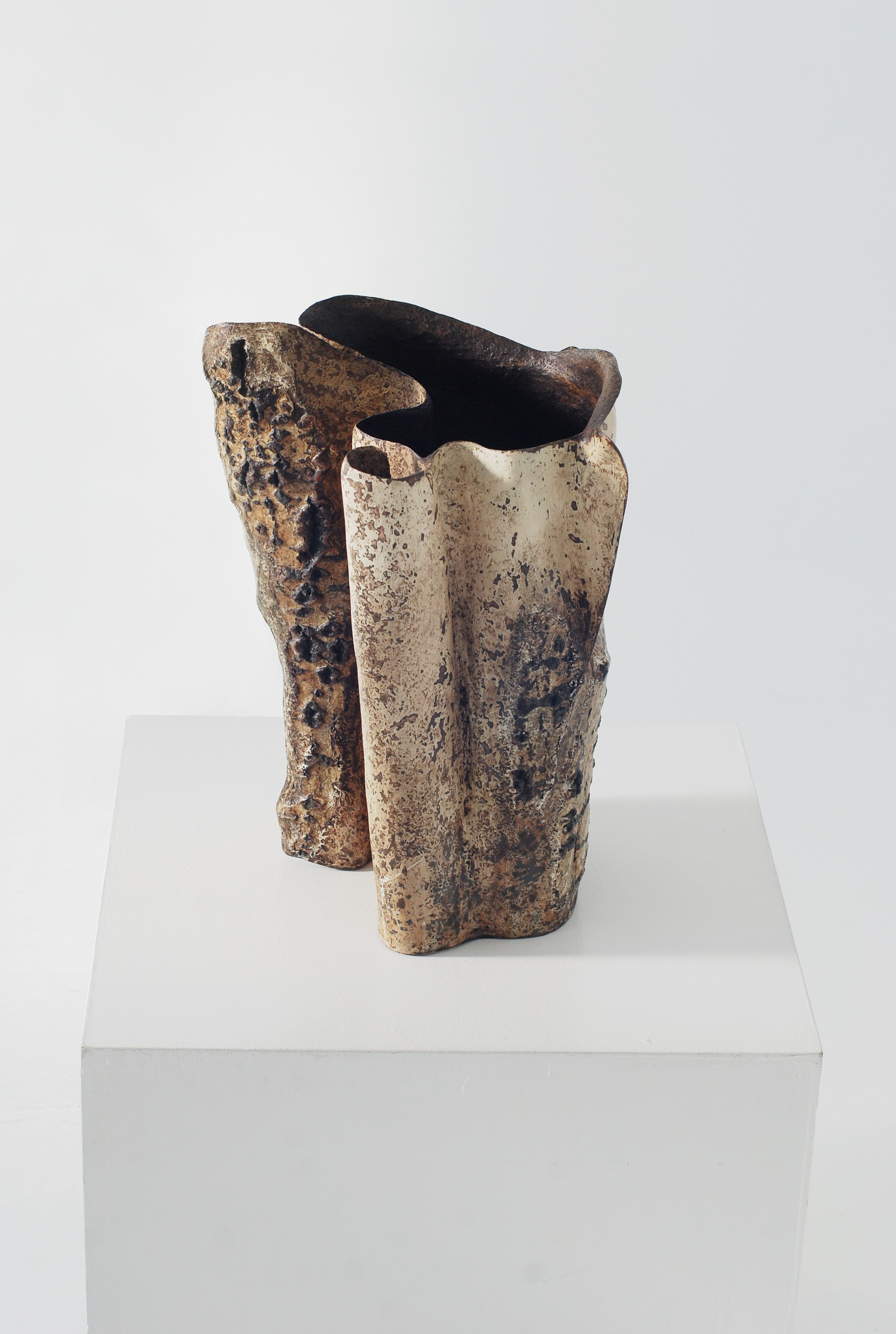 Эволюция духа 2. ЕЛЕНА МЕШКОВА мультидисциплинарный художник