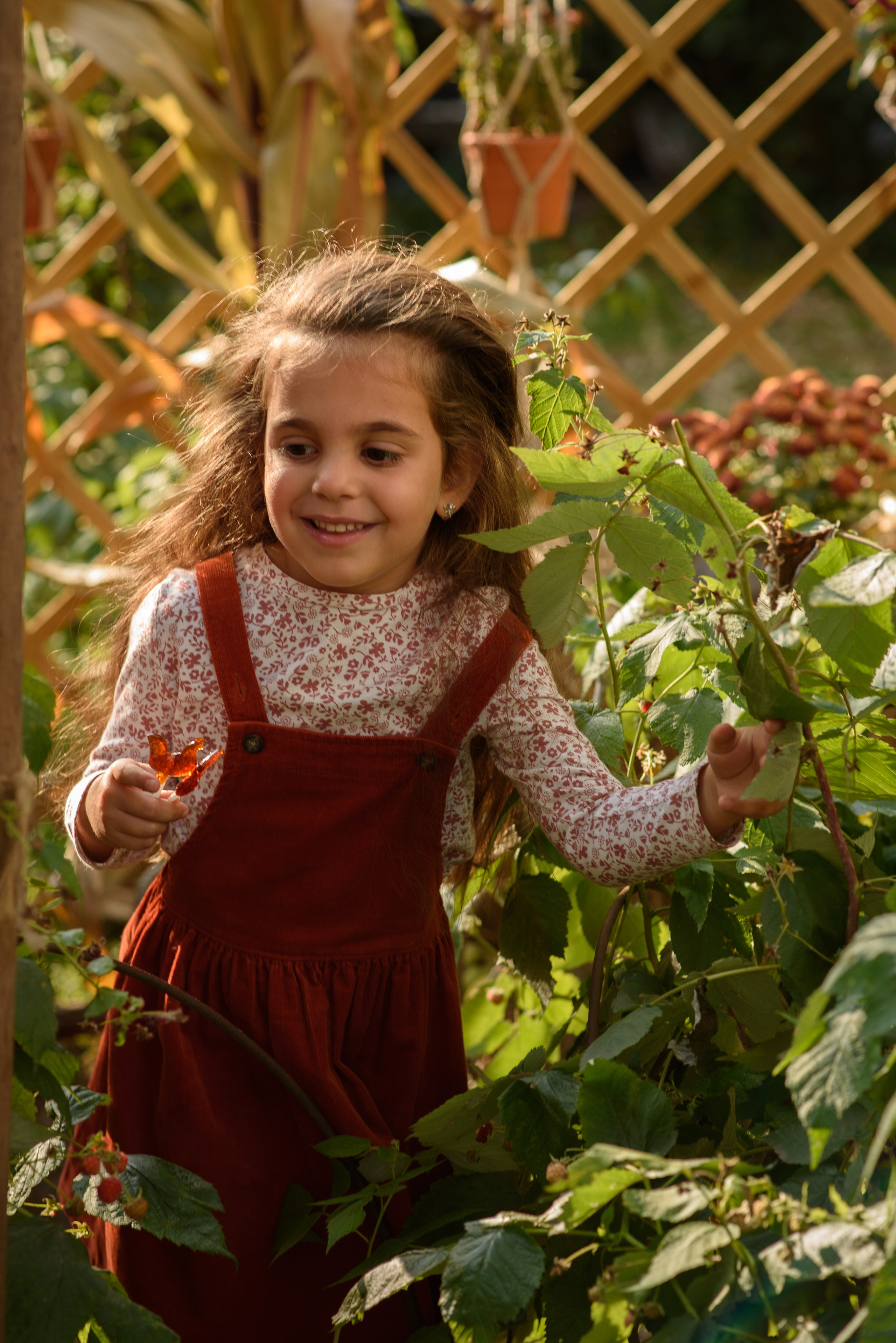 Семейная фотосессия осенью. Анна Боровикова, фотограф Пушкино
