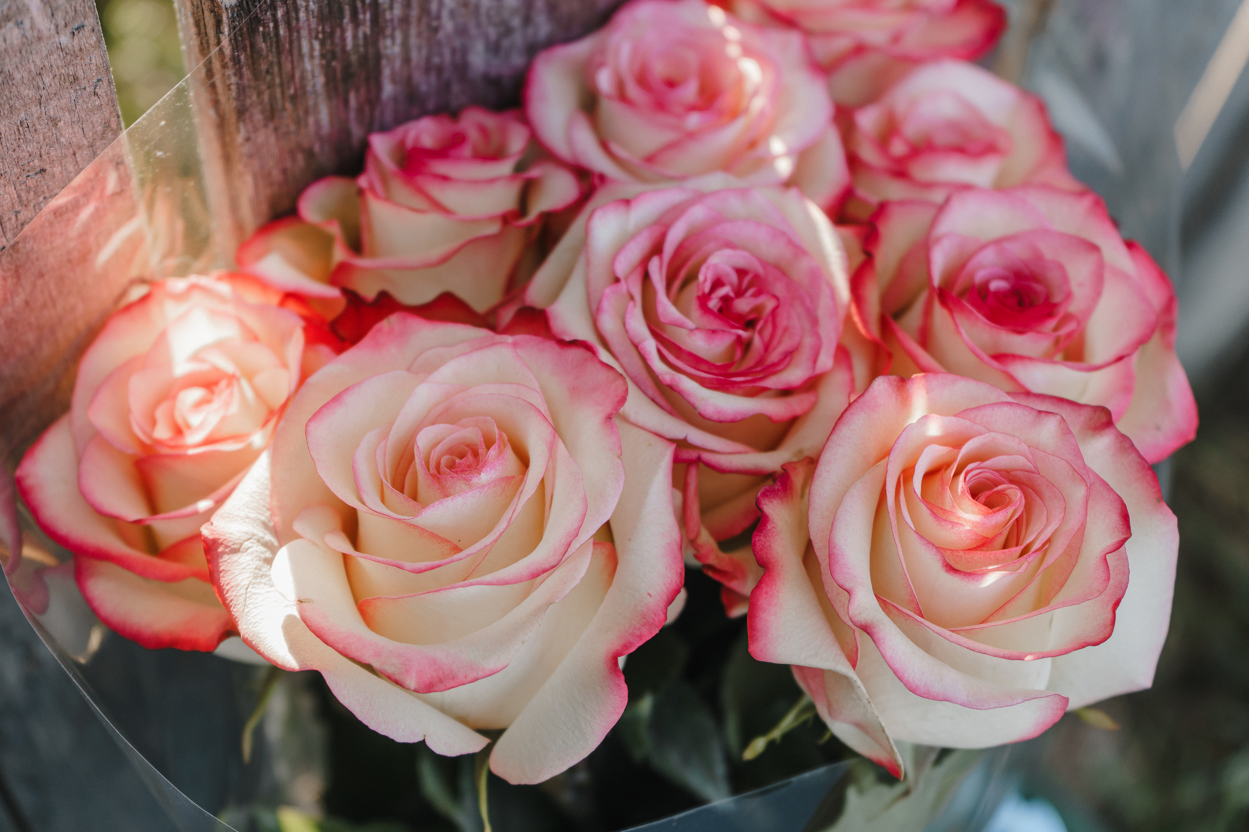 Ольга & Александр 13/08/2022. Свадебный и семейный фотограф в Лениногорске Альбина Хасаншина