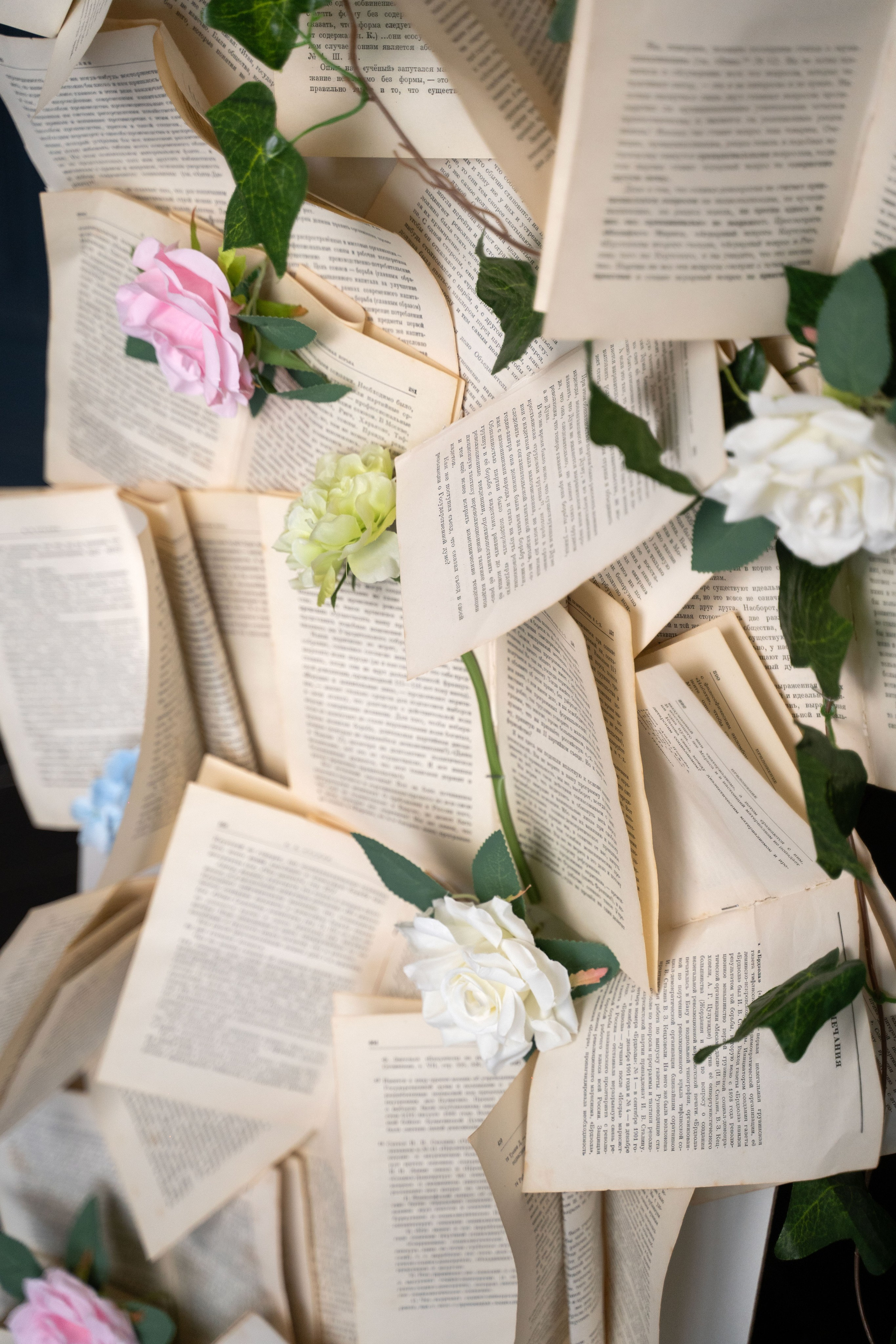 Фотостудия. Фотограф Вера Зверуго в Орле