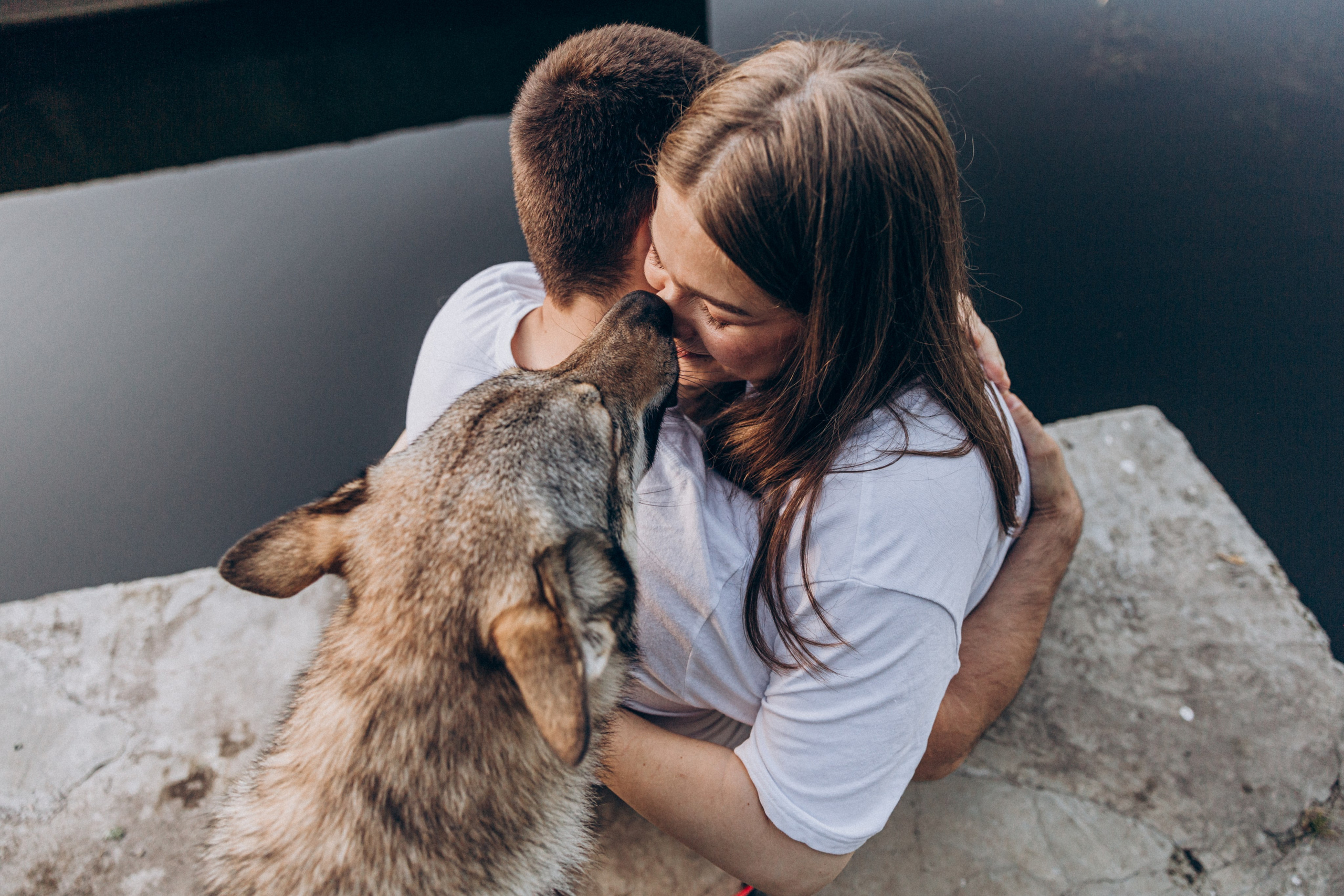 Фотограф-анималист в Москве Соломонова Варвара