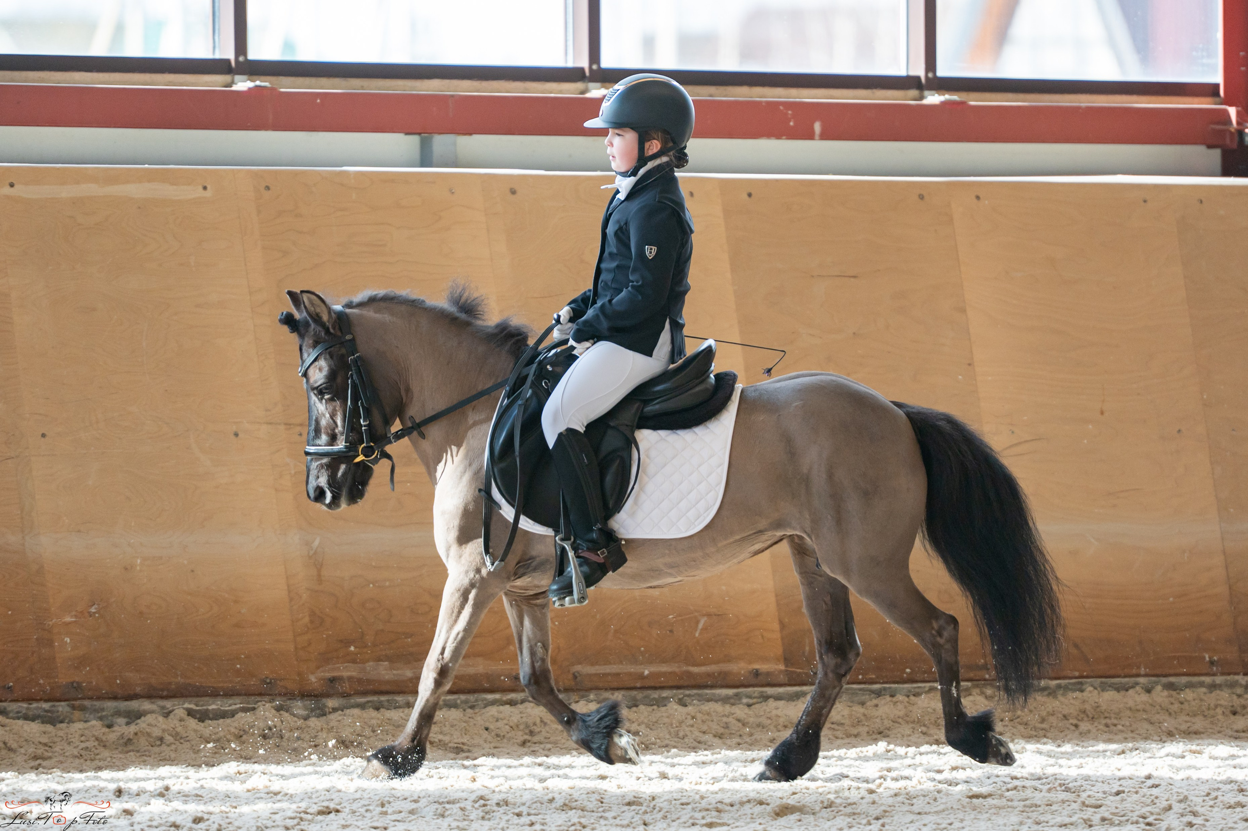 Эквипарк 6 этап Кубка Клубов. Конный и фотограф с животными в Твери Топталова Люся