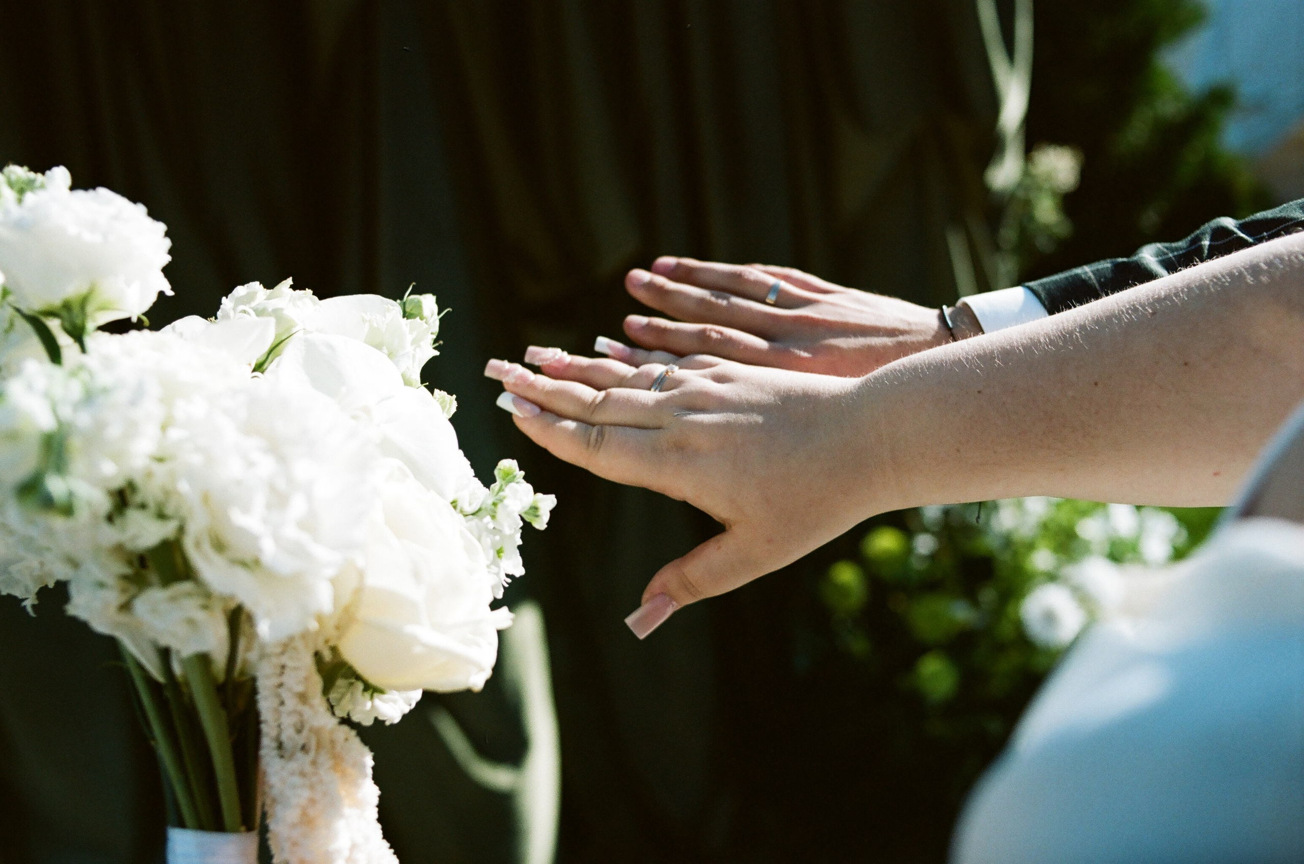 Пленочная фотография