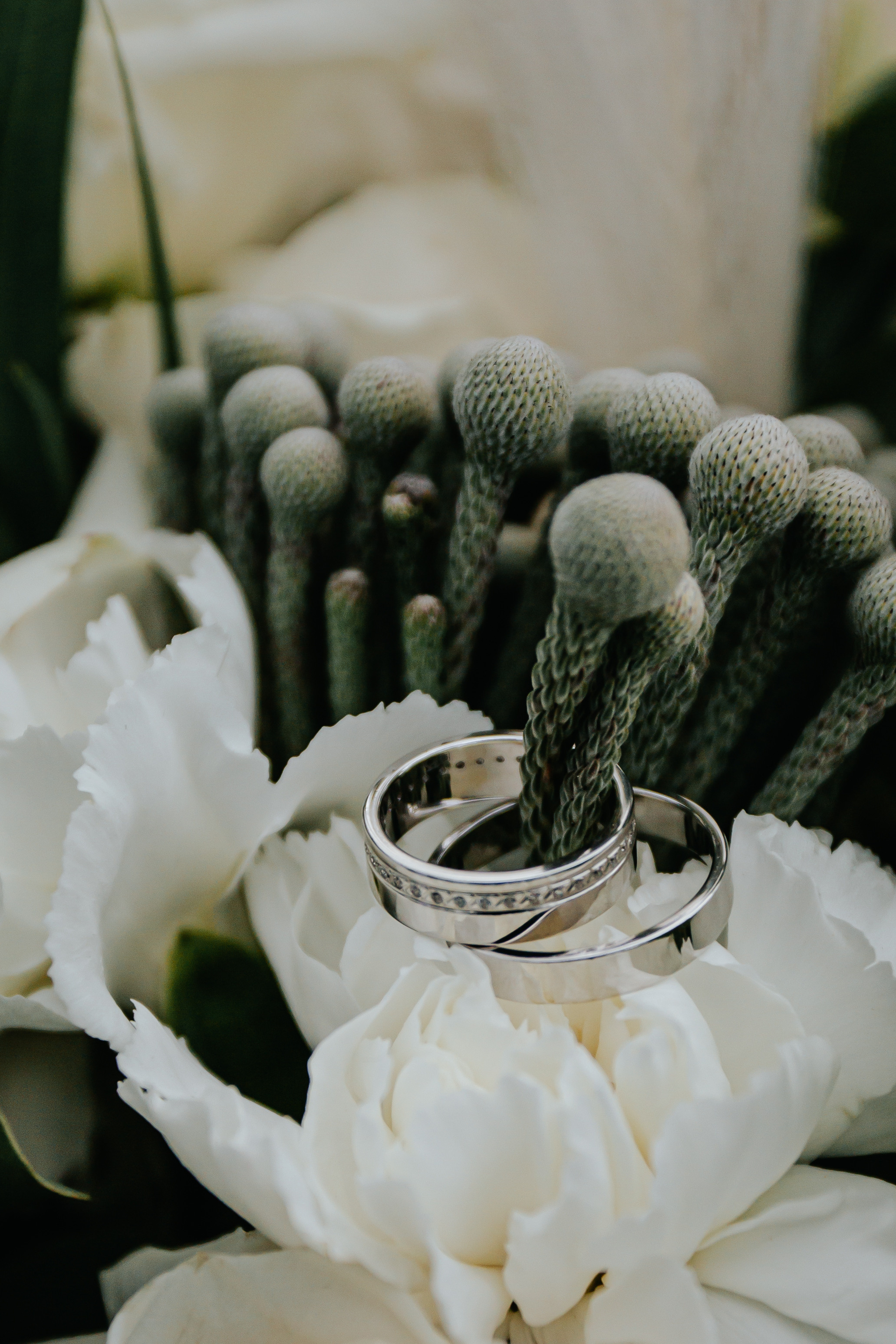 Михаил + Наташа. Свадебный фотограф в Витебске Дмитрий Кувшинов