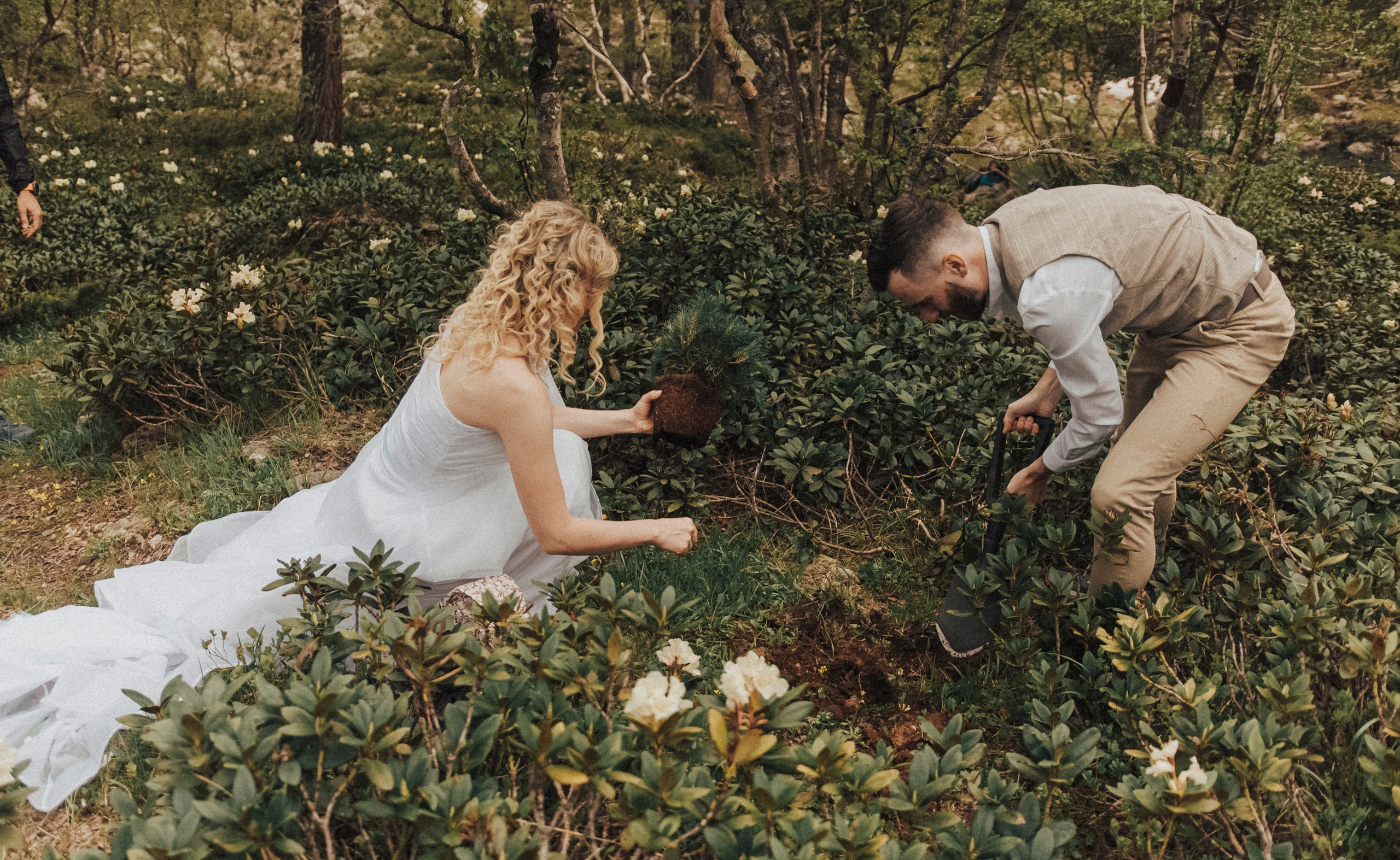 НАША ВЫСОТА 2280. Фотограф Настя Конник | Пятигорск | Эльбрус | Домбай | Архыз | Видеограф КМВ