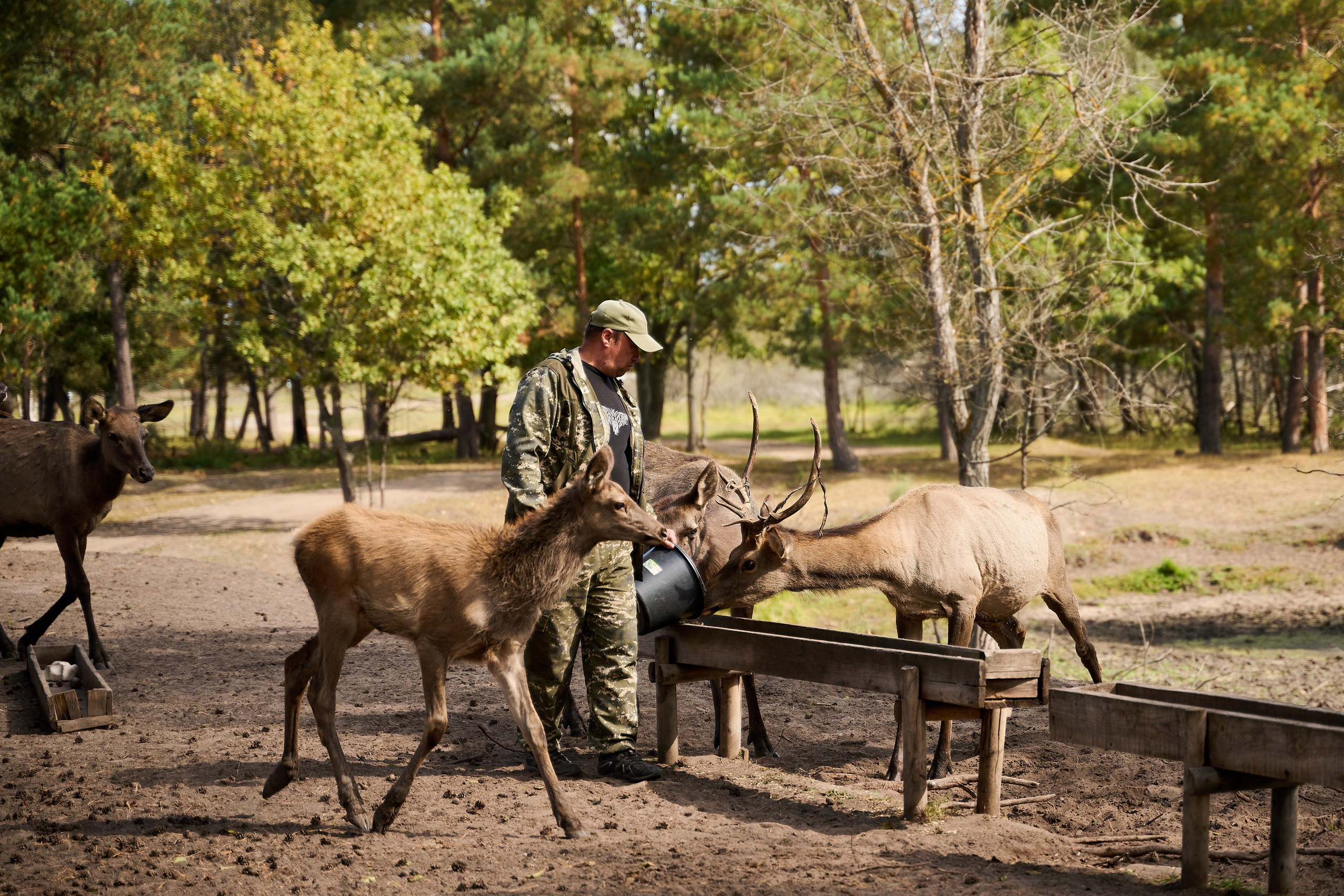 Кречет. Фотосъемка мероприятий