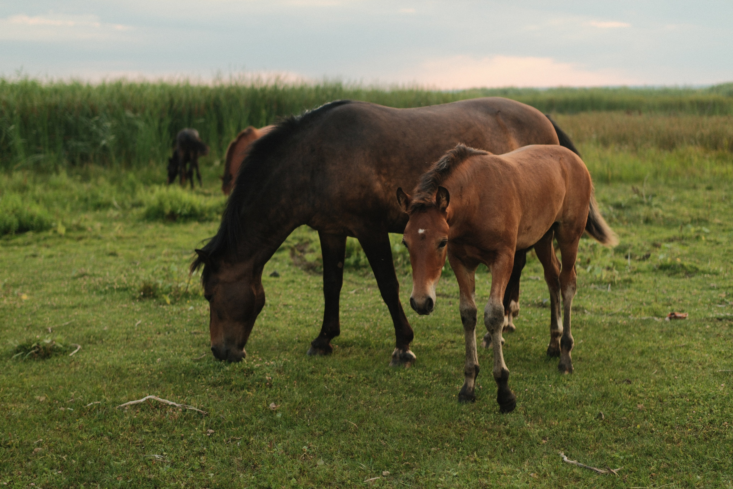Внезапная фотосессия. Фотограф/Видеограф из Саратова