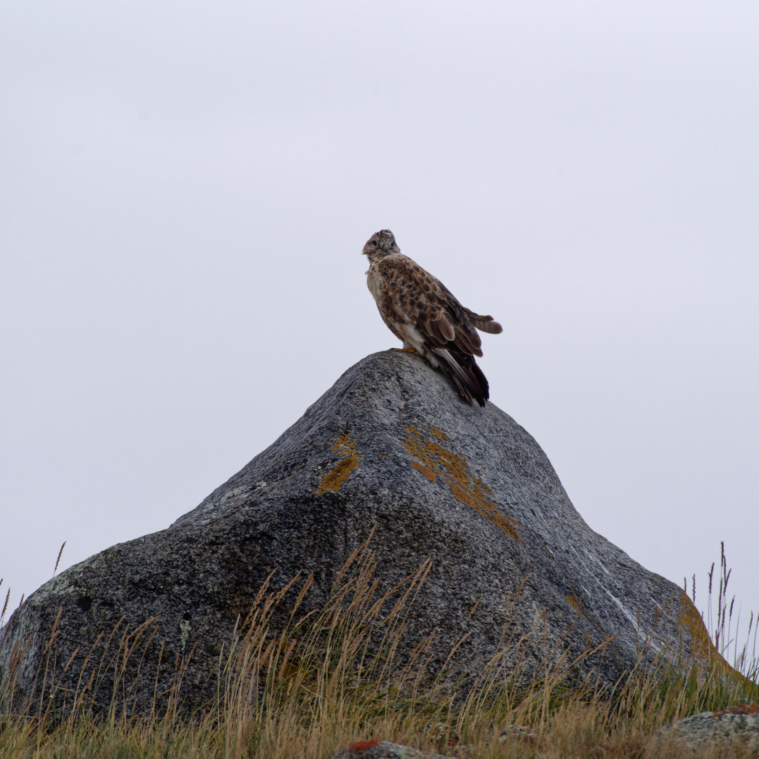 Путешествие по южному Алтаю. Семоха Валерий. Фотограф