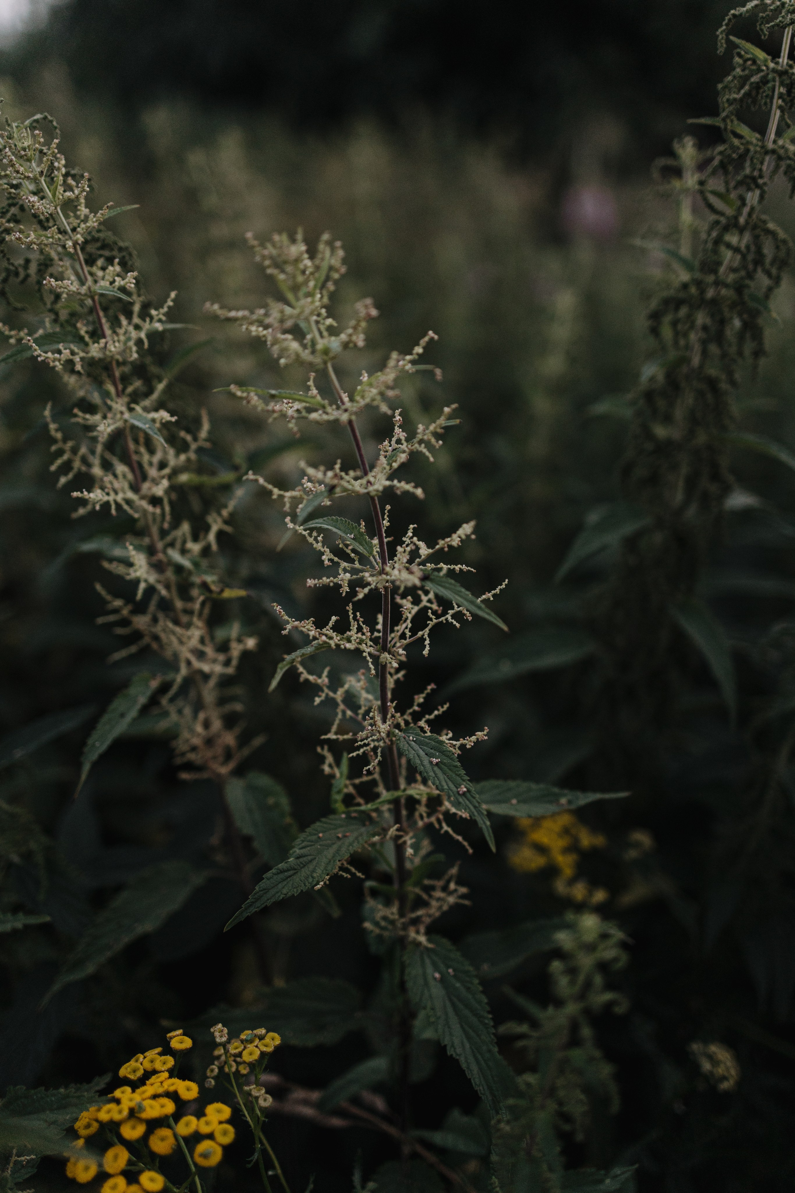 За городом. Про любовь