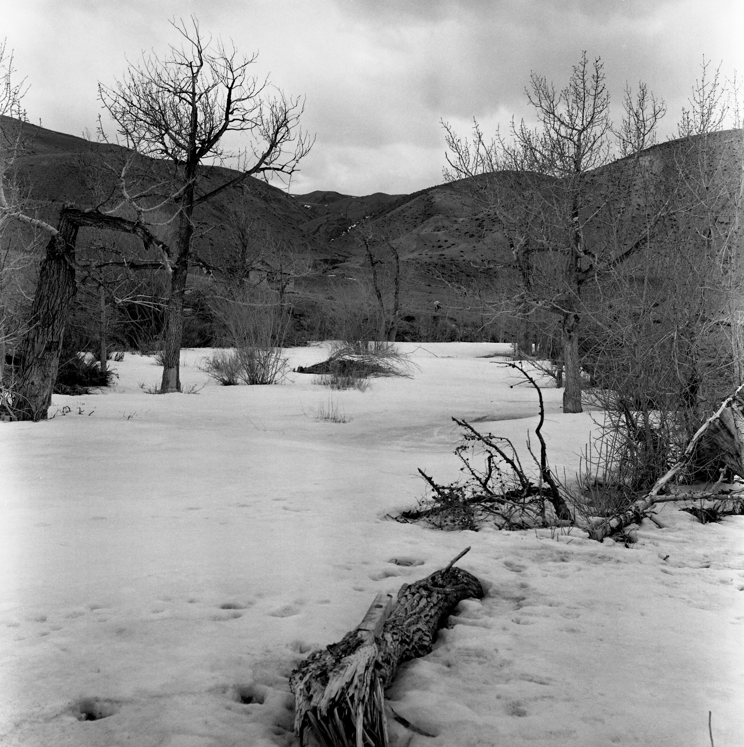 Алтай, Россия. Elena Nikitina. Photo Artist. Film photography. Prints